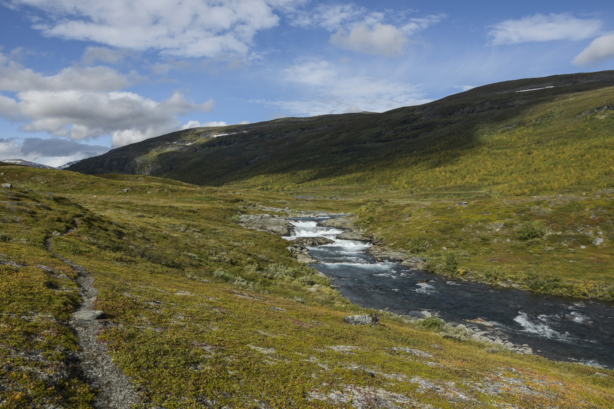 304-Lapland2019_DSC6991_W.jpg