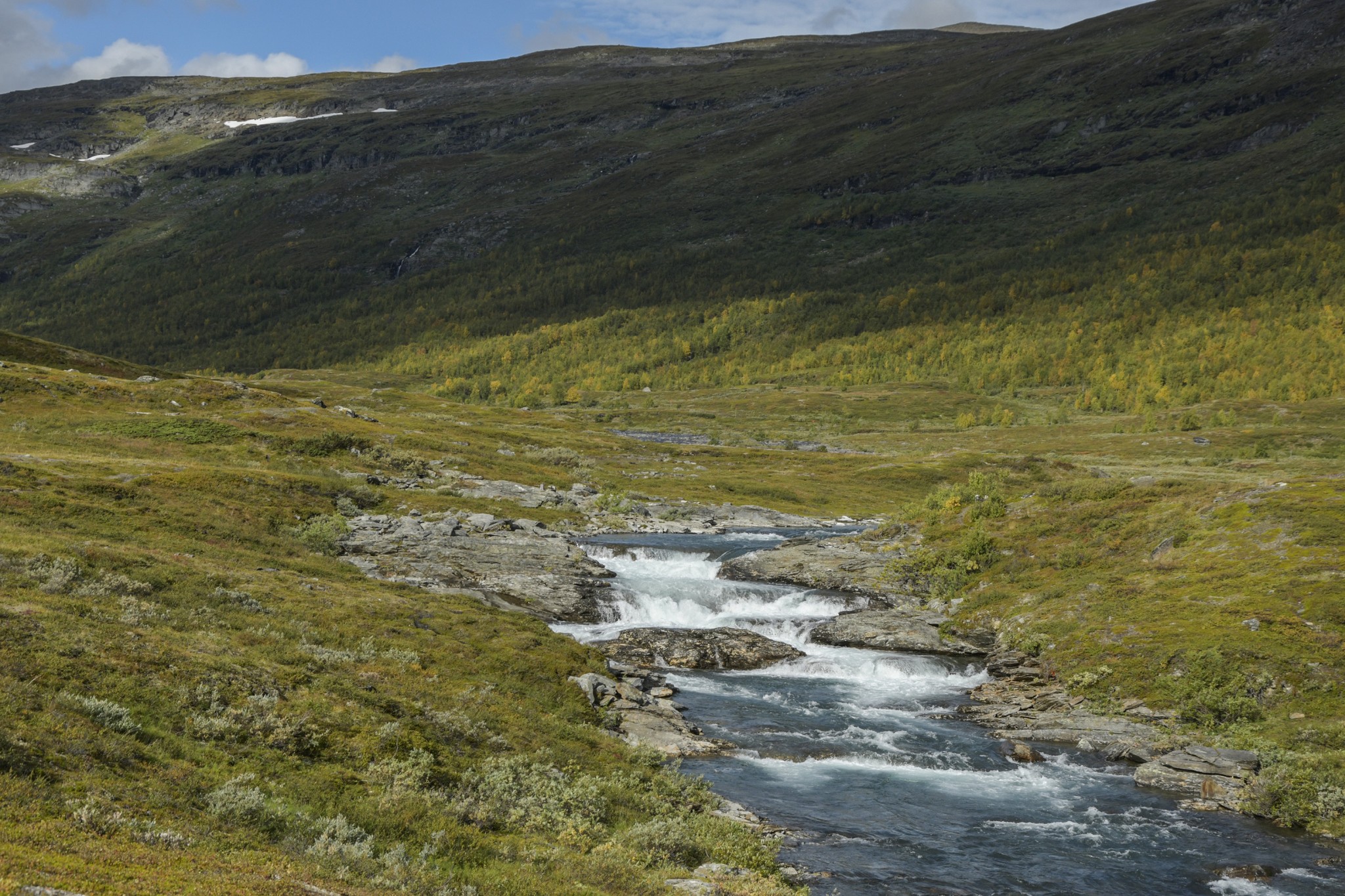 305-Lapland2019_DSC6992_W.jpg