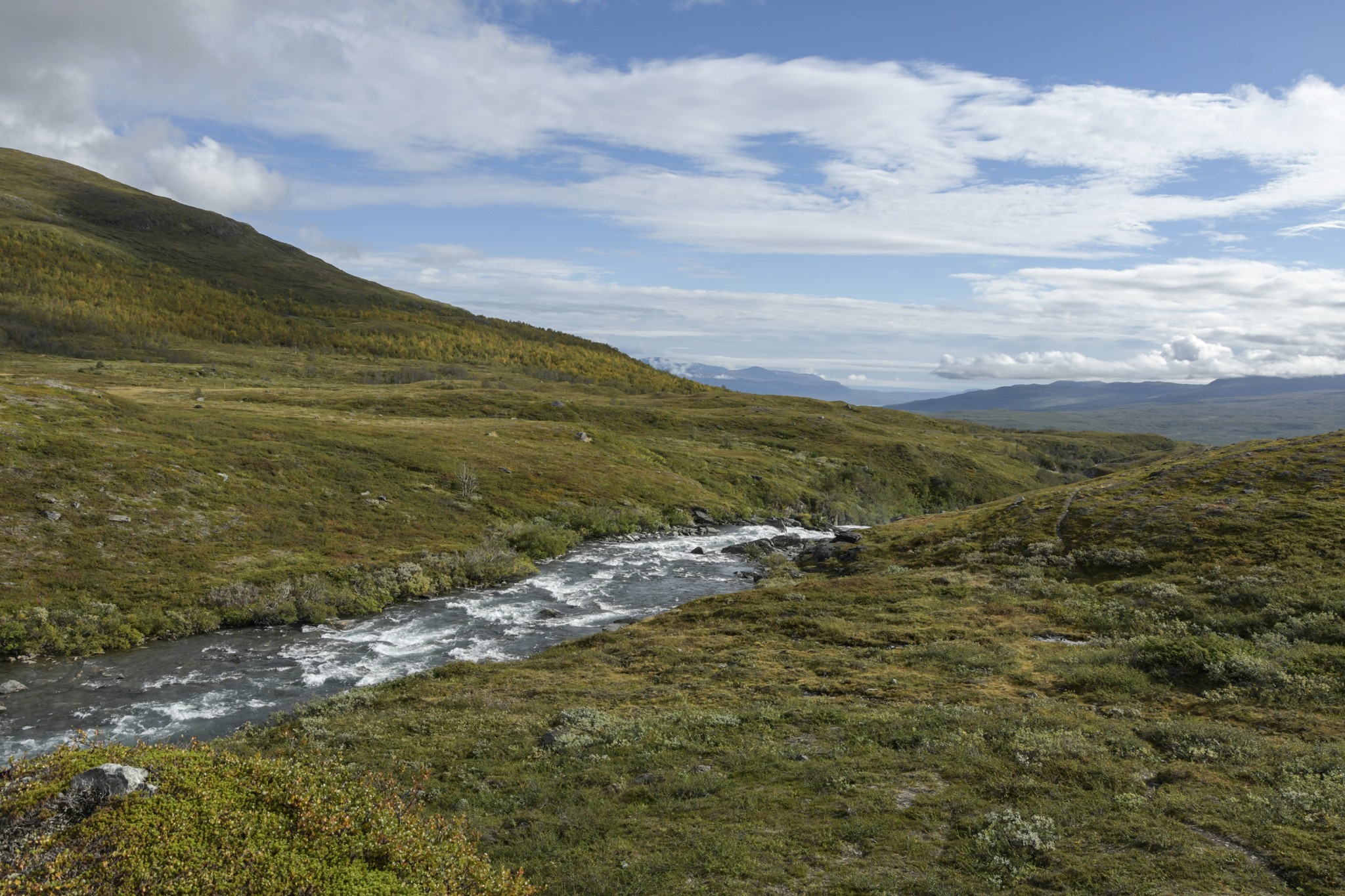 309-Lapland2019_DSC6999_W.jpg