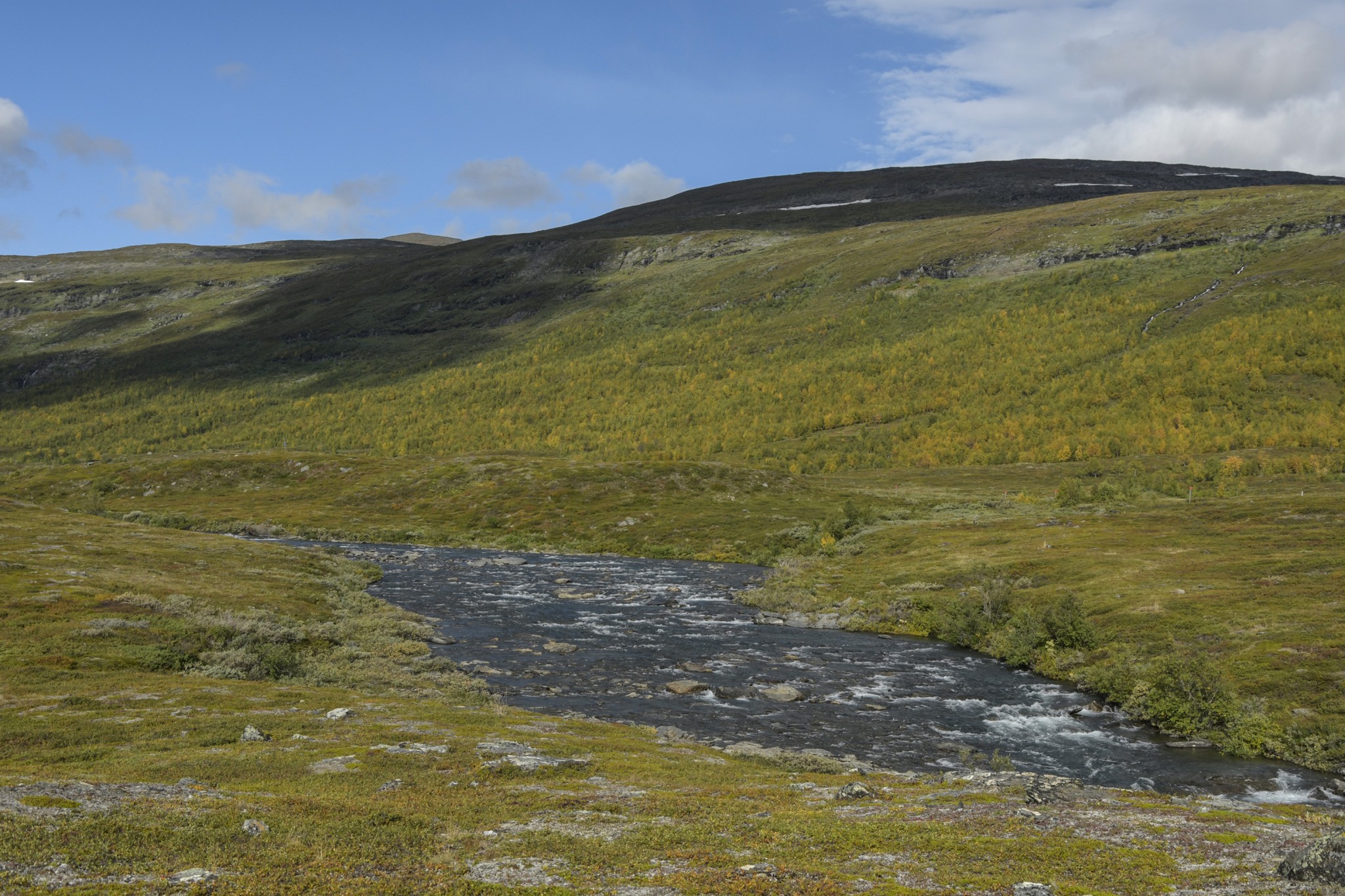 310-Lapland2019_DSC7000_W.jpg