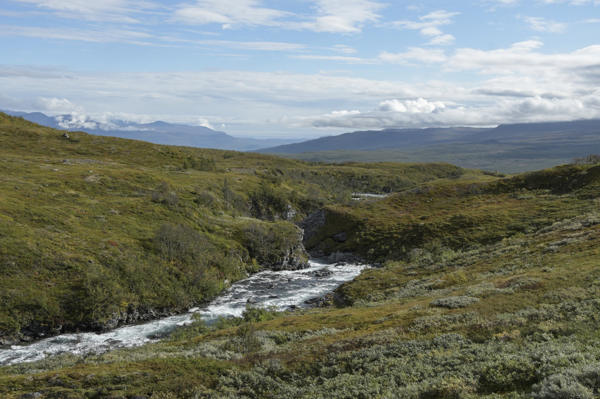 311-Lapland2019_DSC7002_W.jpg