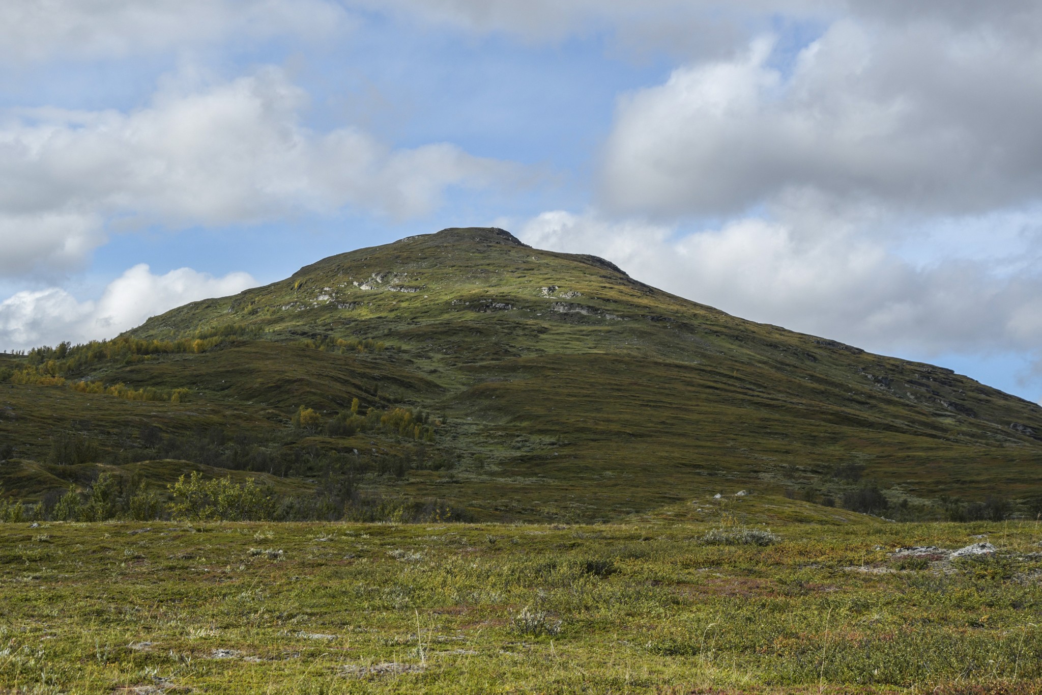 313-Lapland2019_DSC7006_W.jpg