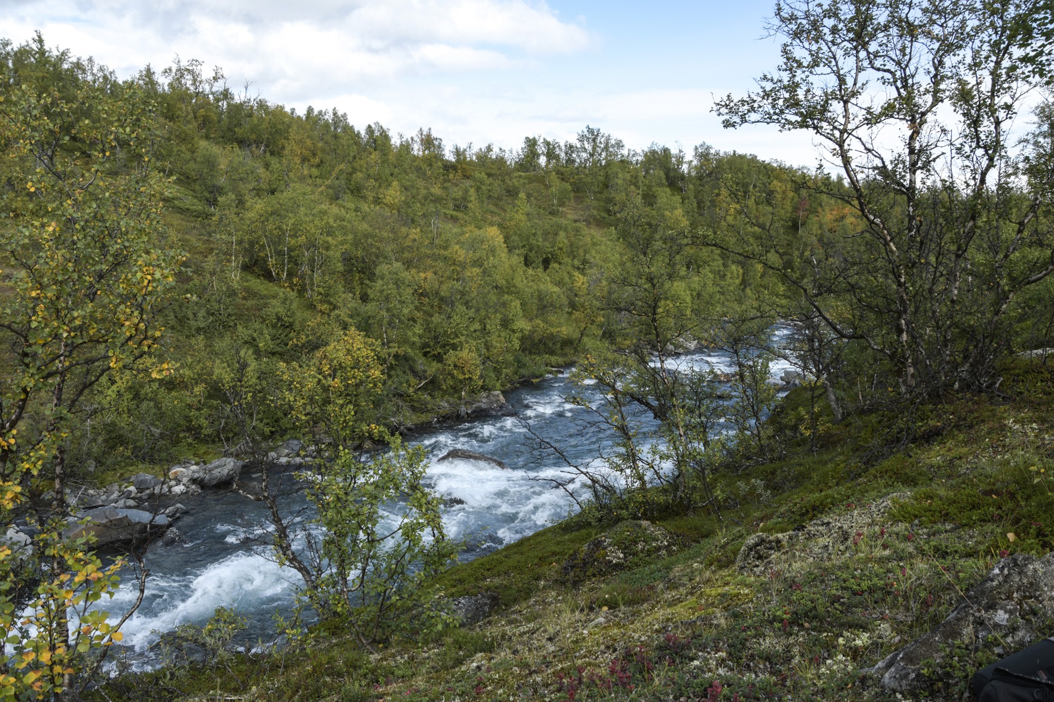 314-Lapland2019_DSC7007_W.jpg