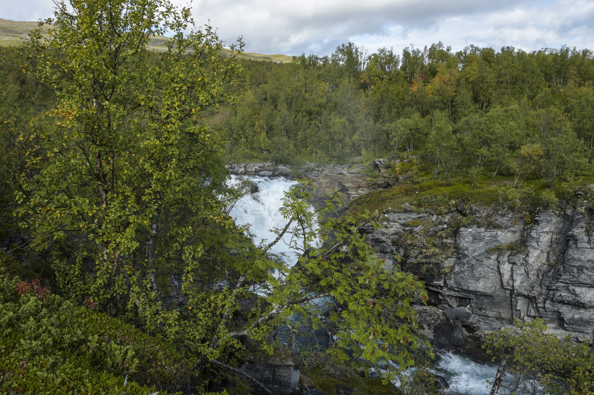 315-Lapland2019_DSC7008_W.jpg