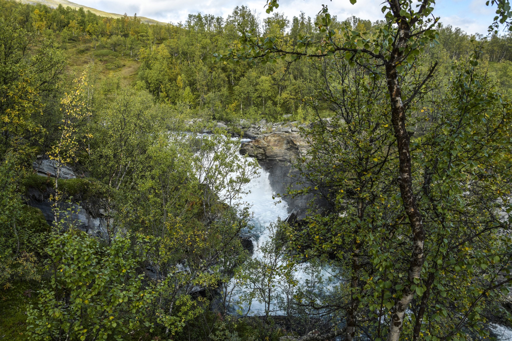 316-Lapland2019_DSC7012_W.jpg