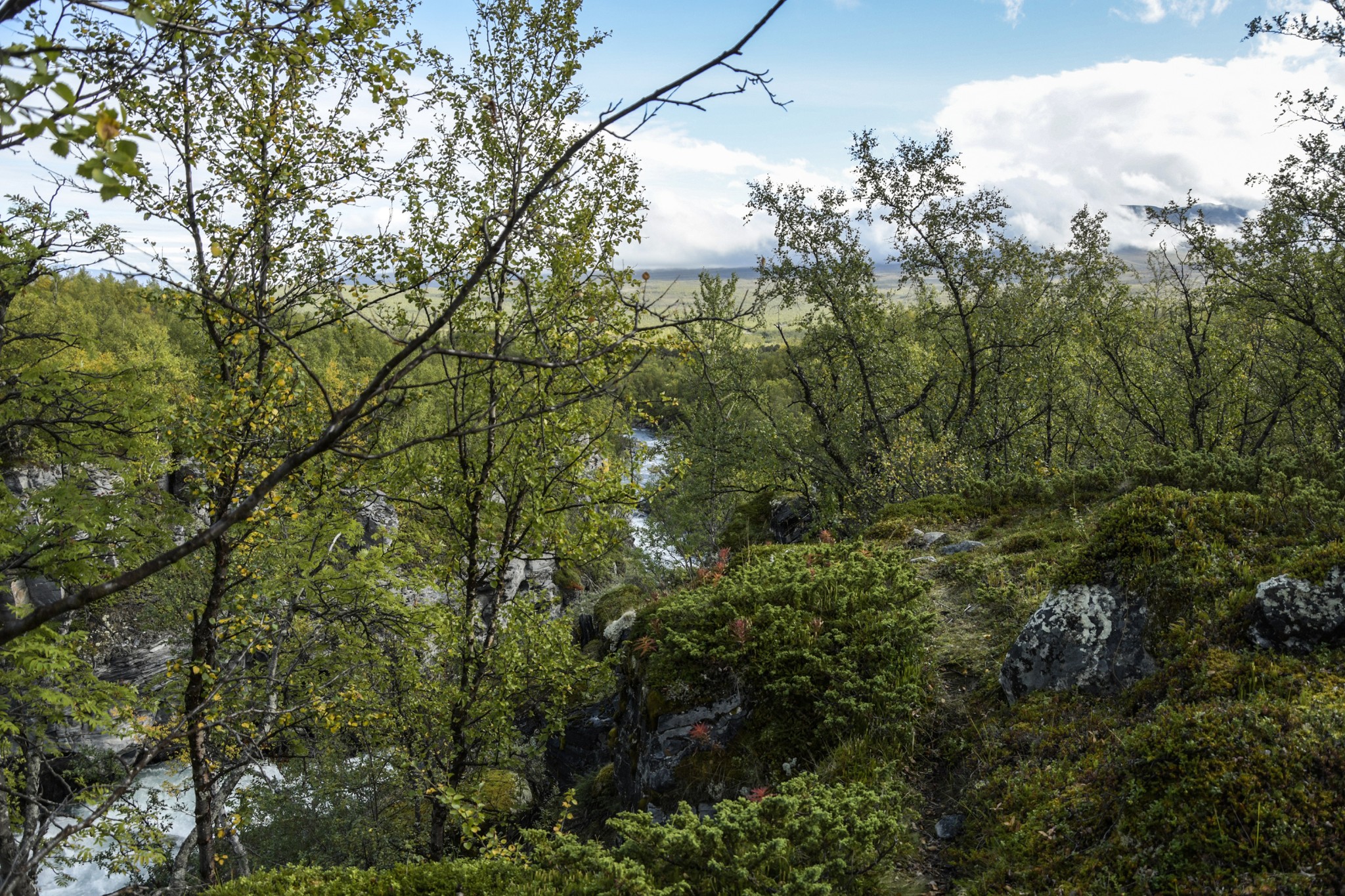 317-Lapland2019_DSC7013_W.jpg