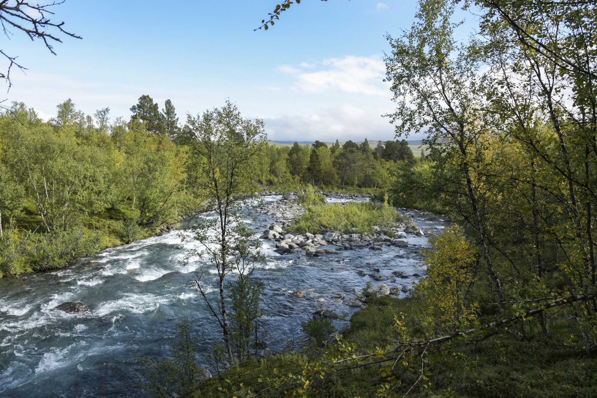 320-Lapland2019_DSC7019_W.jpg