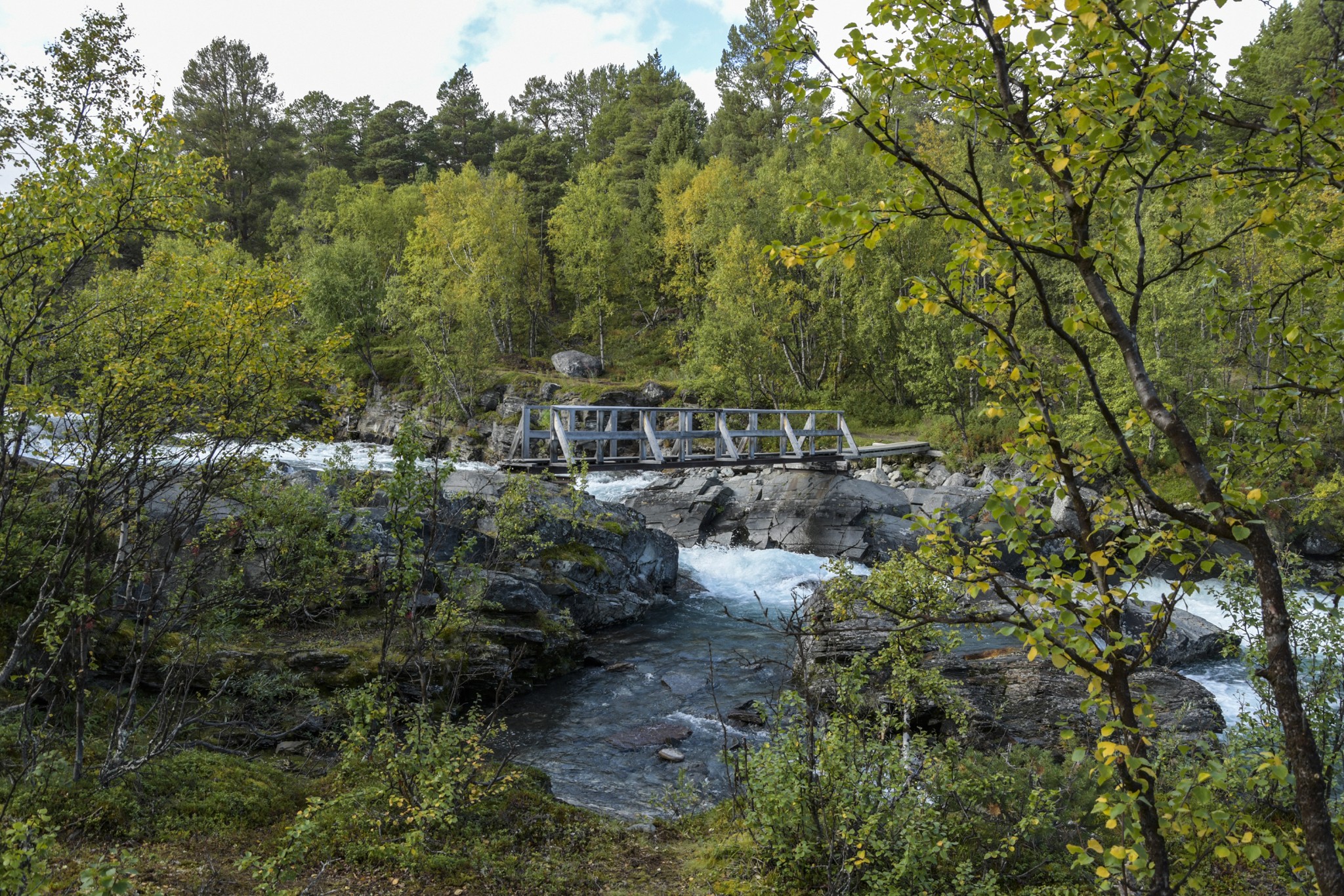 321-Lapland2019_DSC7020_W.jpg