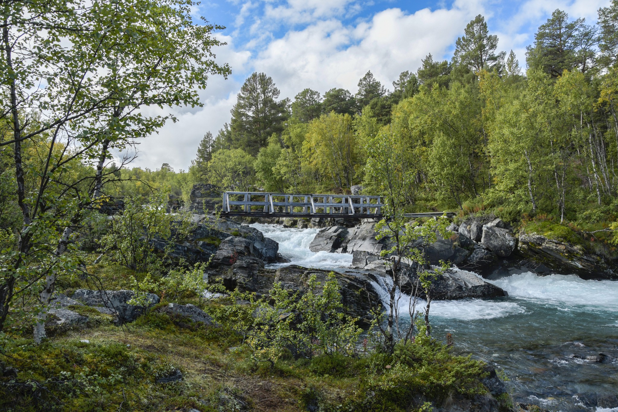 322-Lapland2019_DSC7021_W.jpg