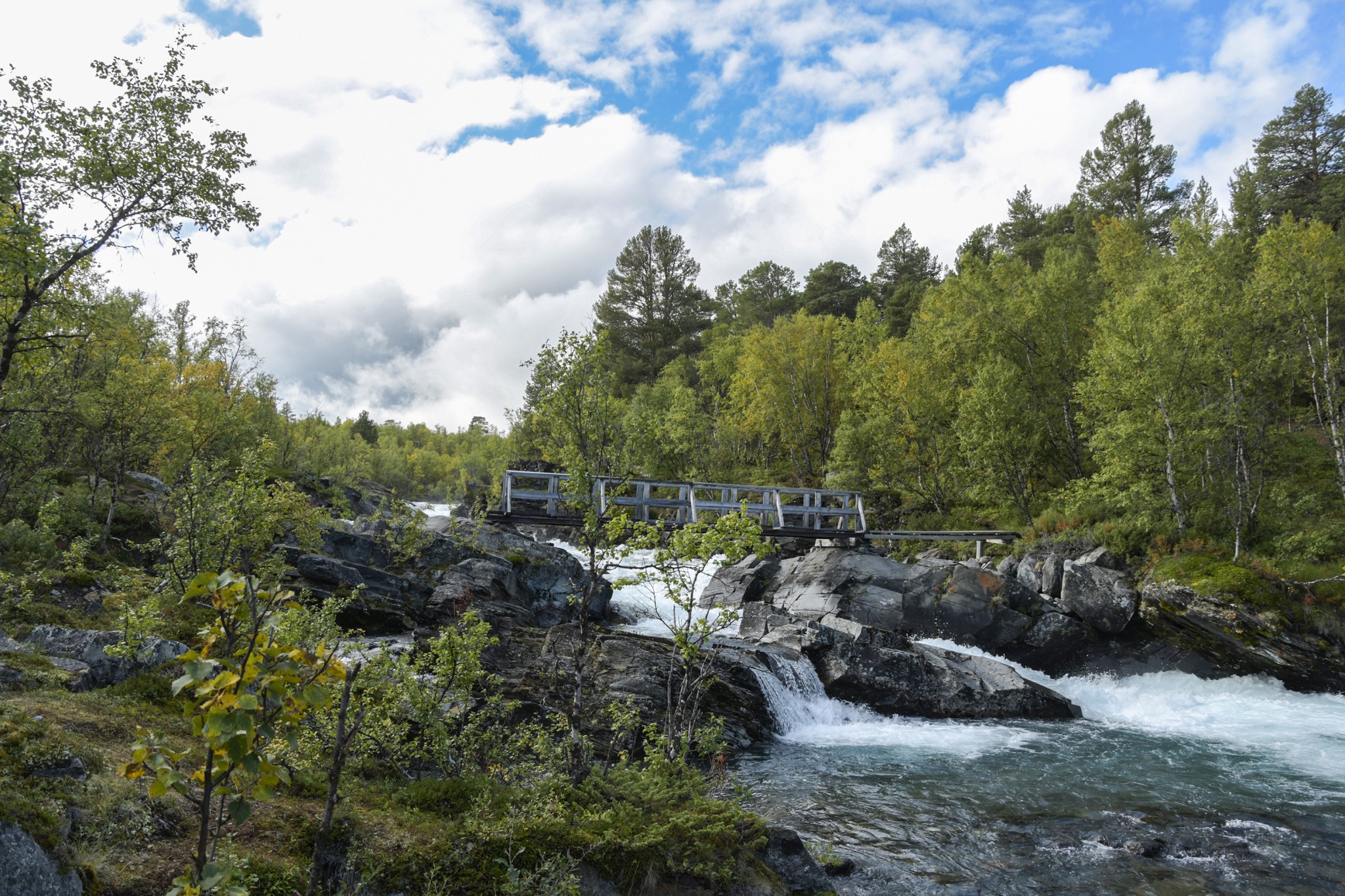 324-Lapland2019_DSC7024_W.jpg