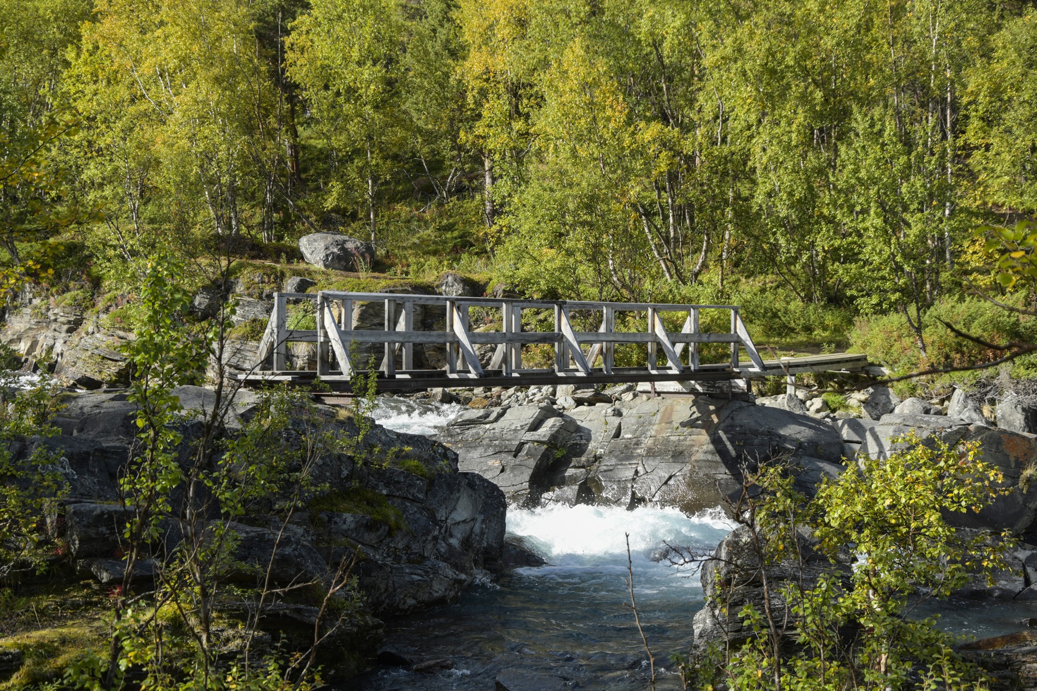 326-Lapland2019_DSC7026_W.jpg