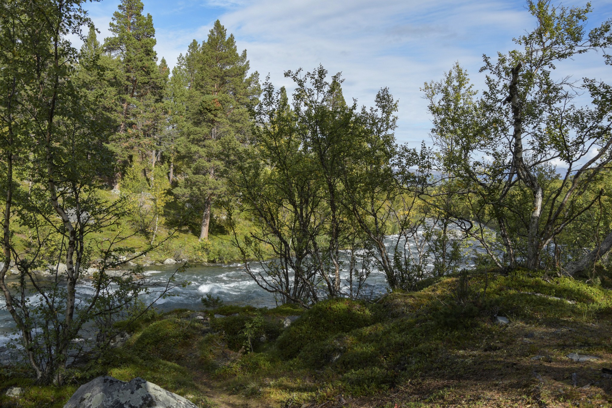 328-Lapland2019_DSC7030_W.jpg