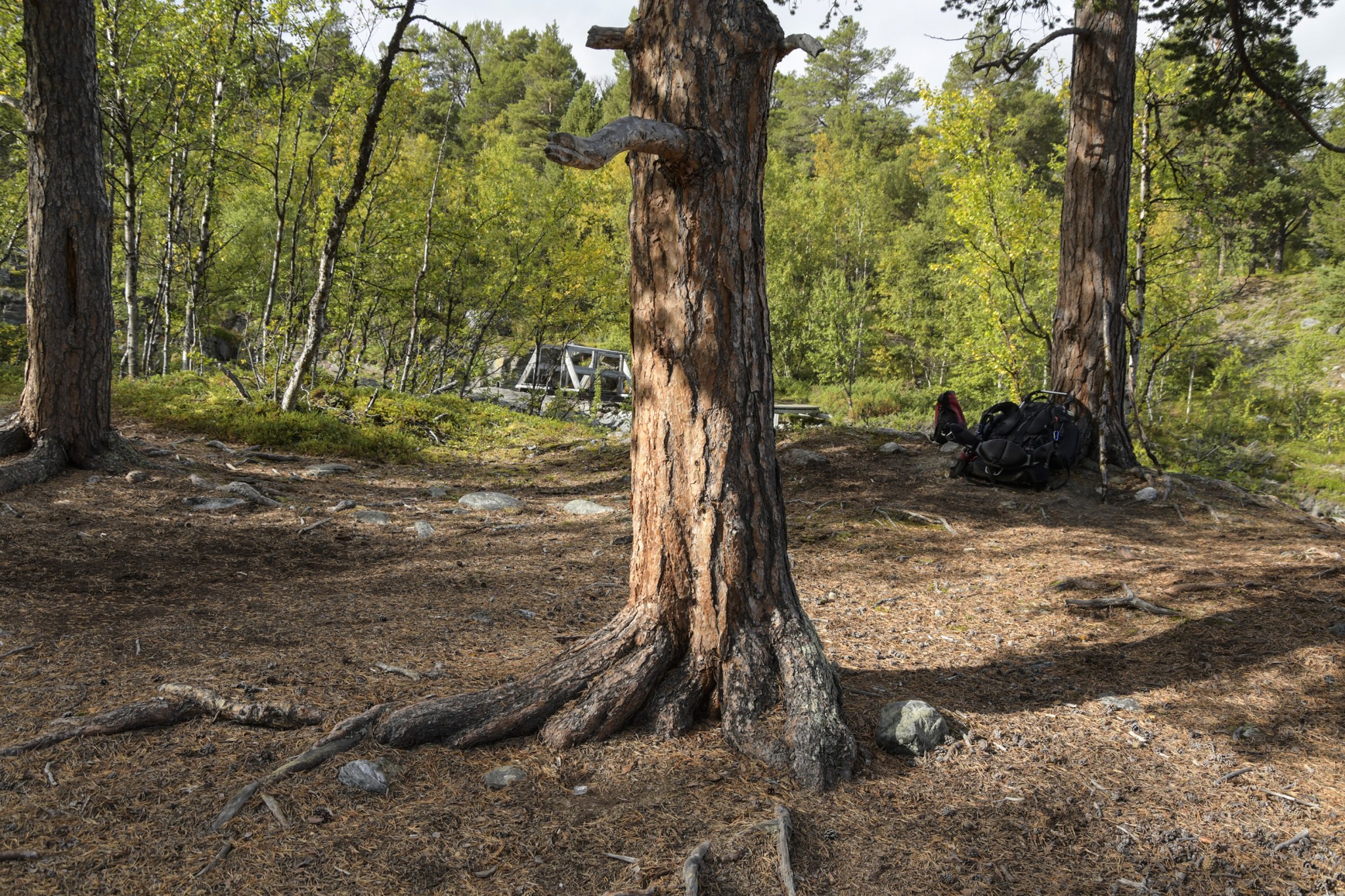 330-Lapland2019_DSC7033_W.jpg