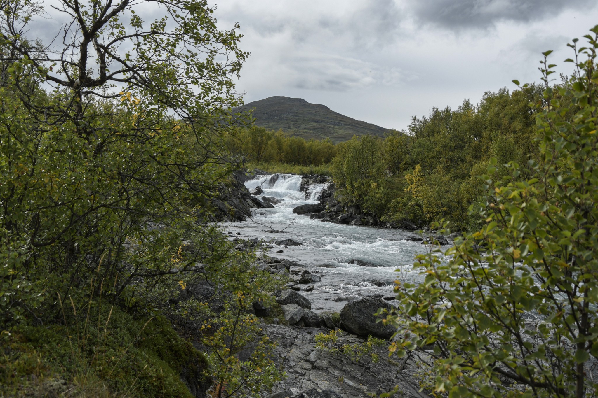 332-Lapland2019_DSC7037_W.jpg