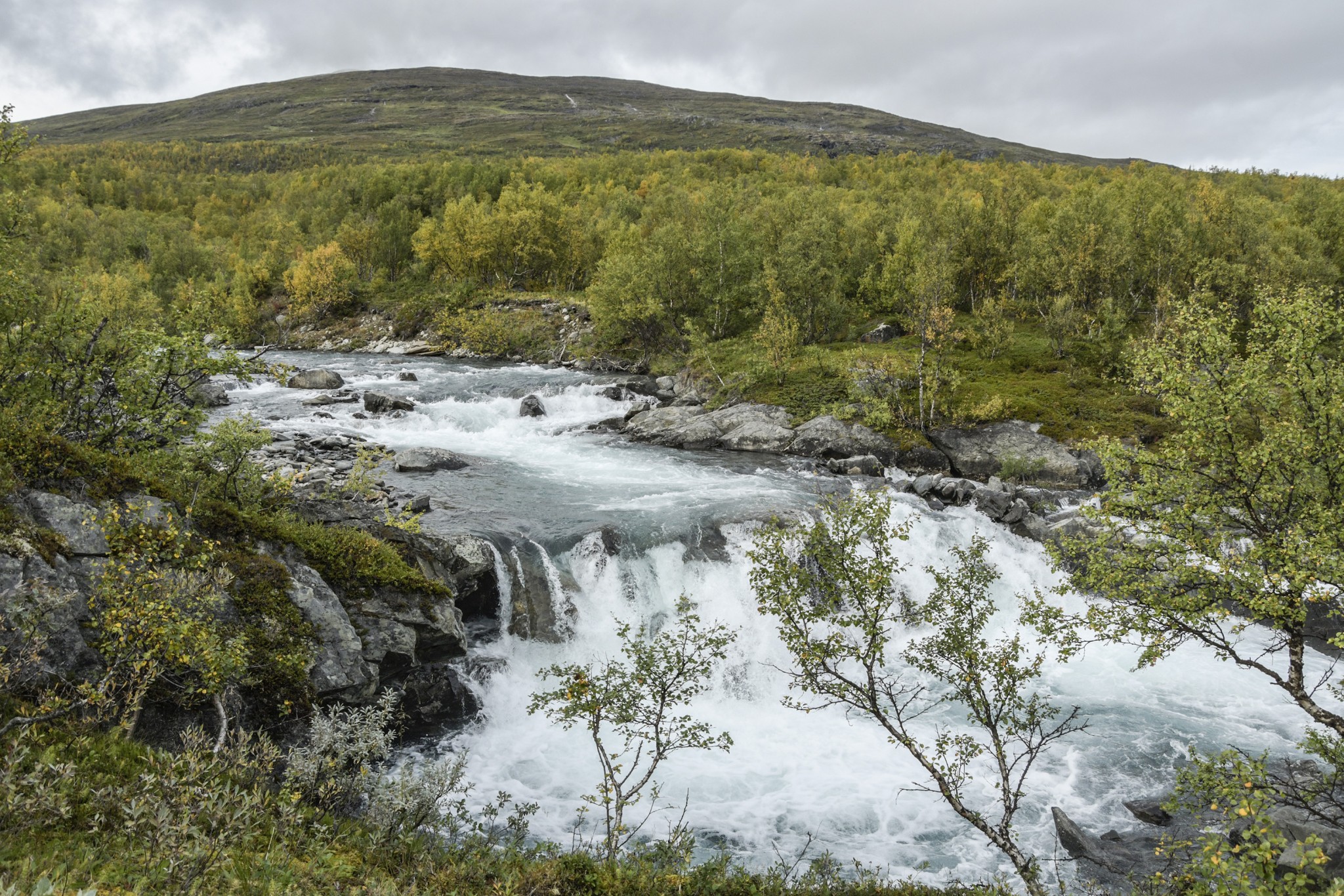 333-Lapland2019_DSC7039_W.jpg