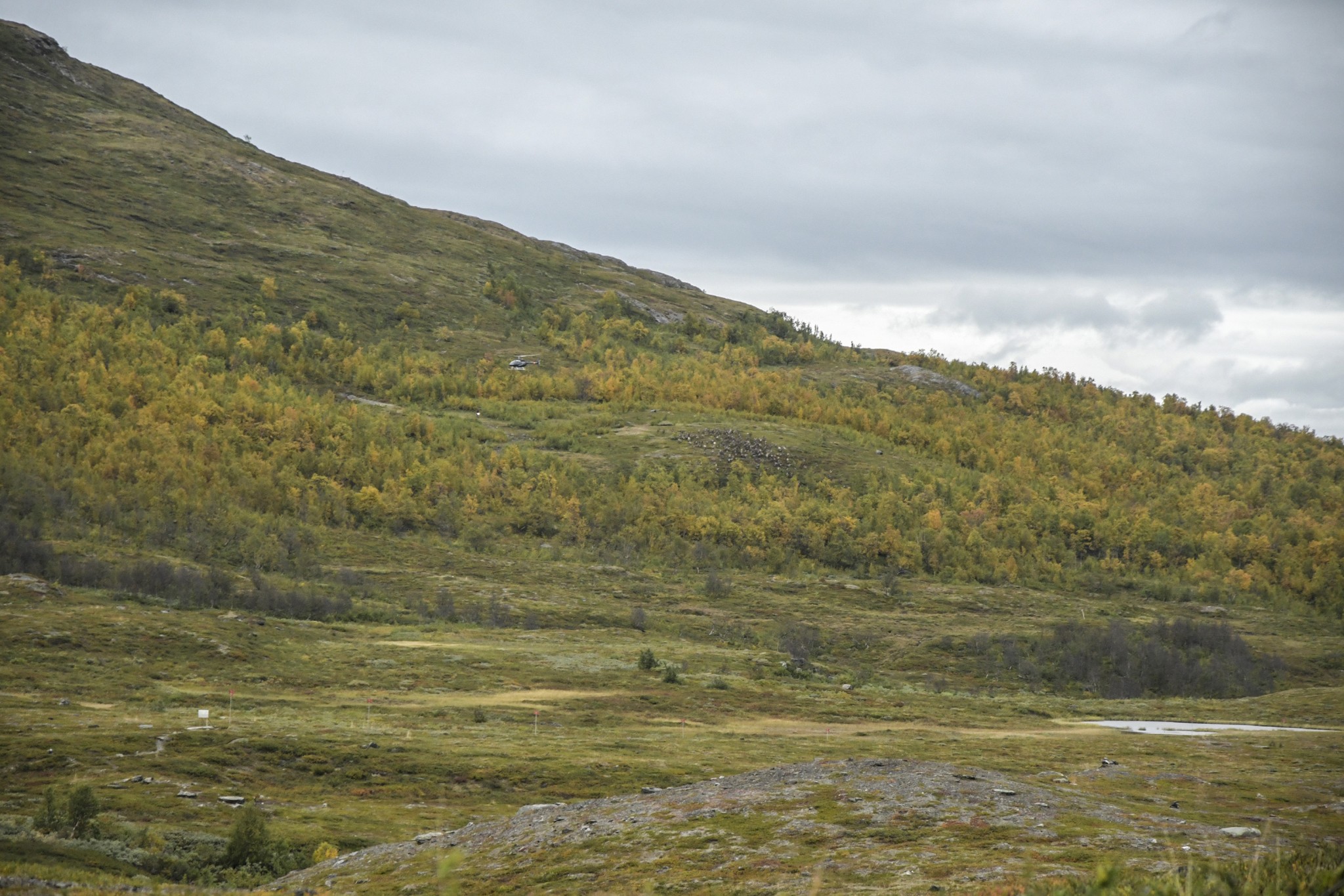 338-Lapland2019_DSC7066_W.jpg