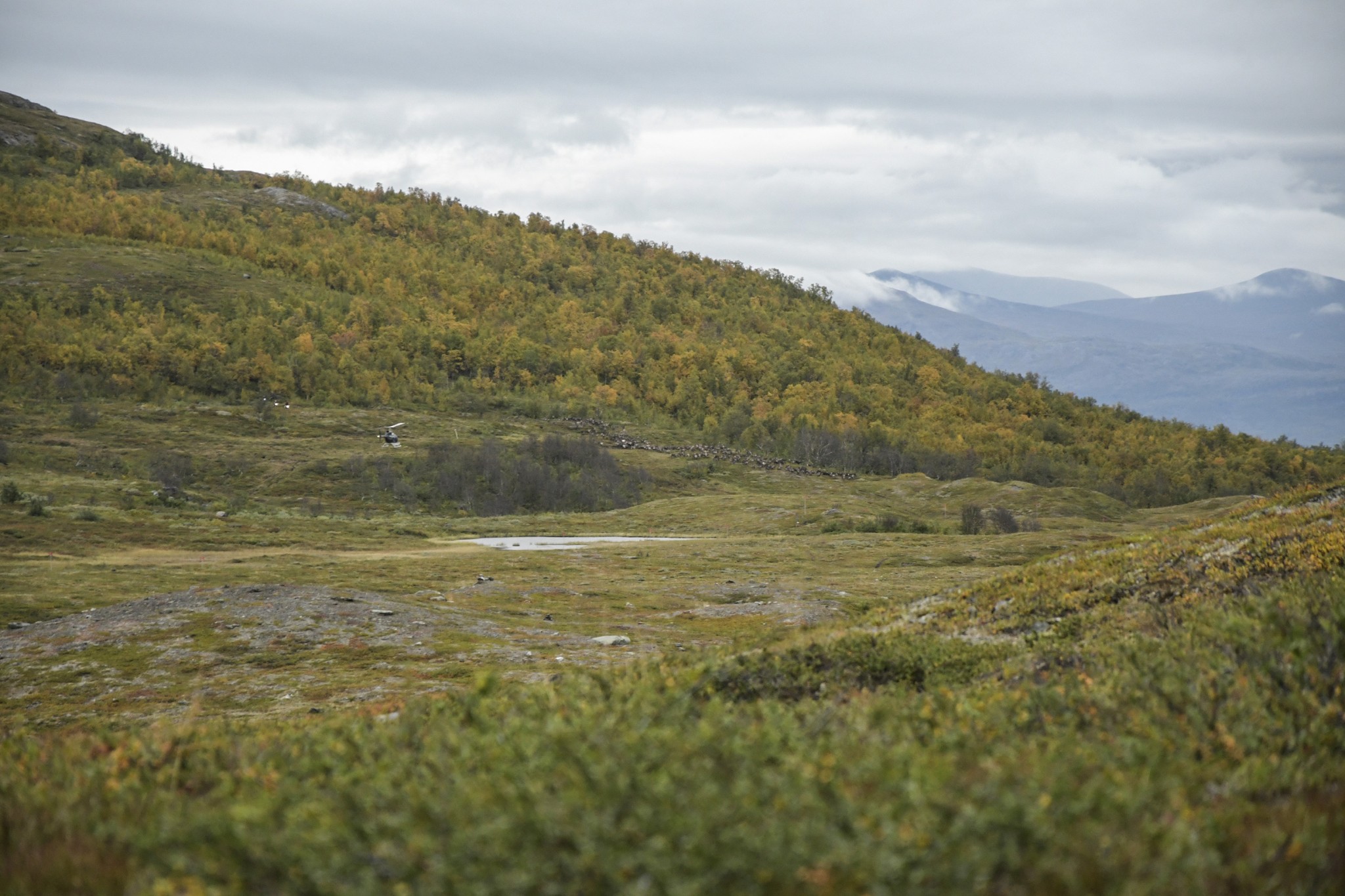 339-Lapland2019_DSC7074_W.jpg