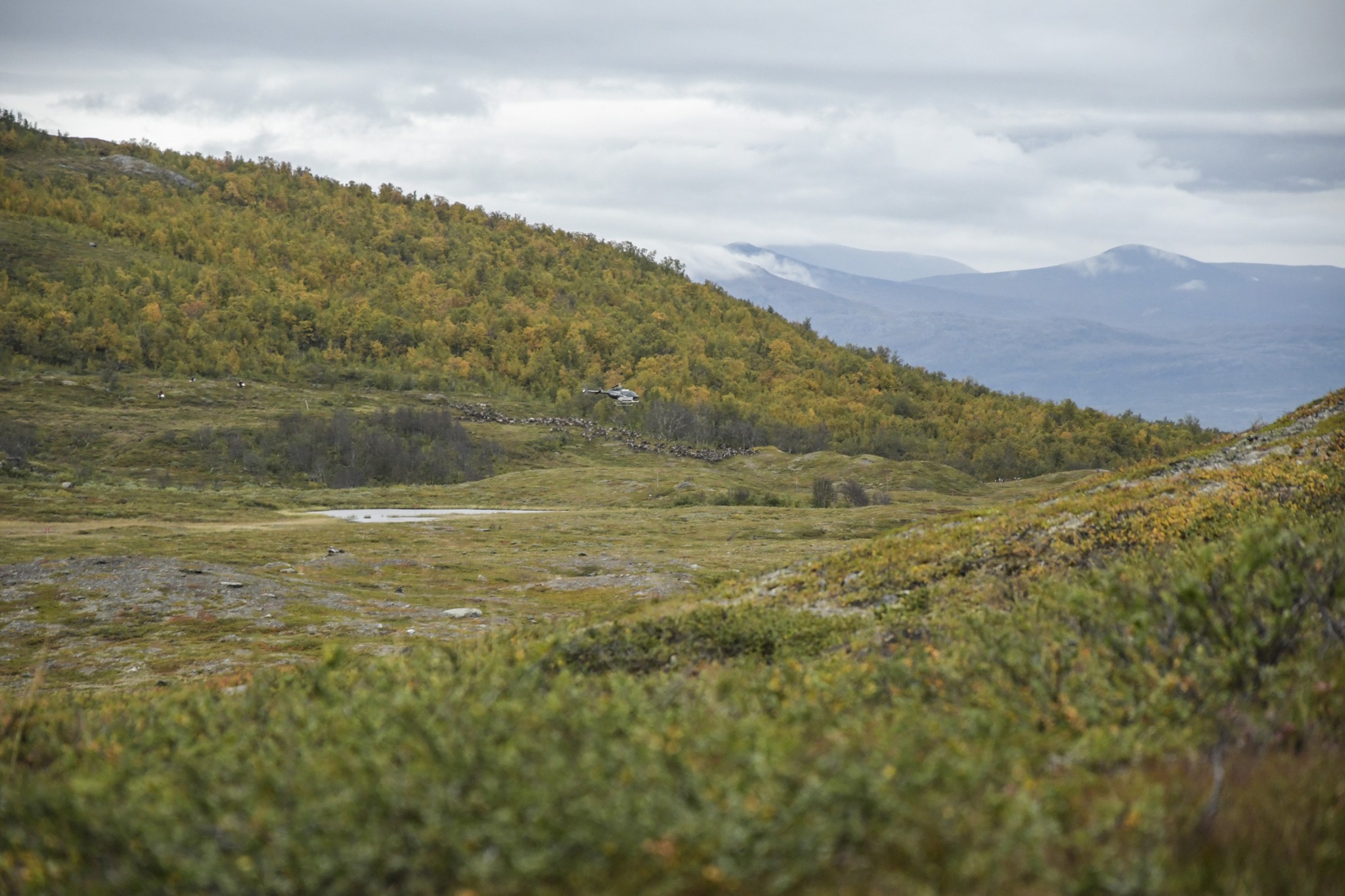 340-Lapland2019_DSC7075_W.jpg