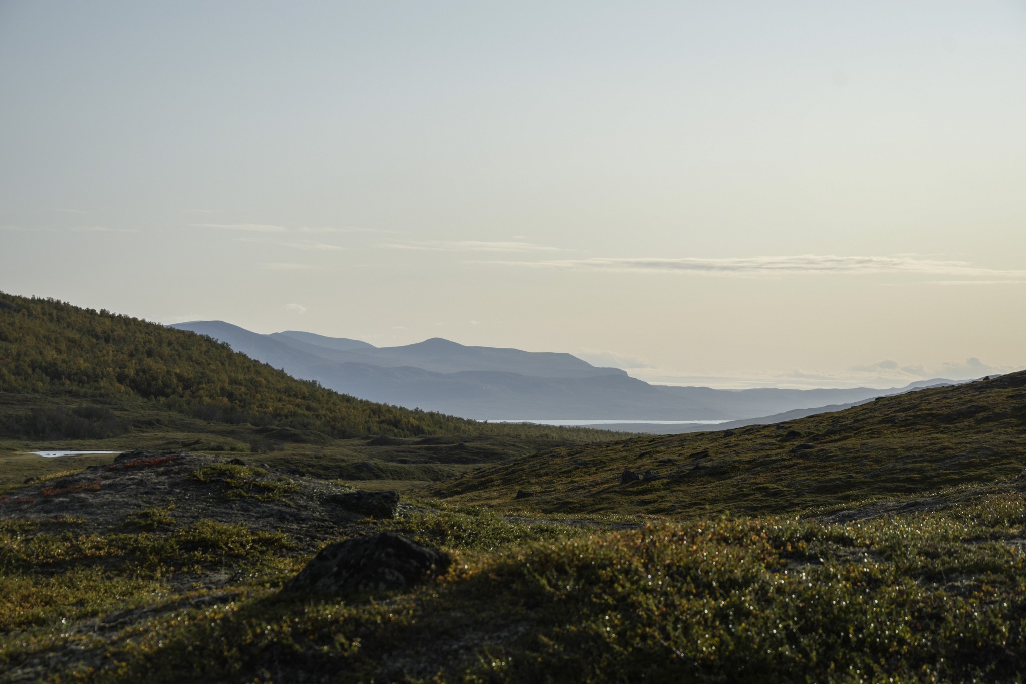 347-Lapland2019_DSC7096_W.jpg