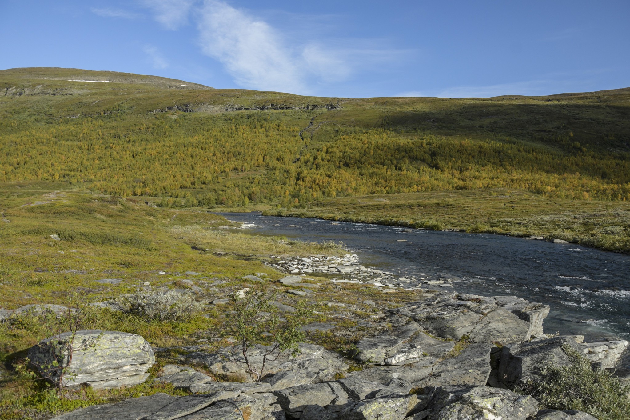 354-Lapland2019_DSC7106_W.jpg