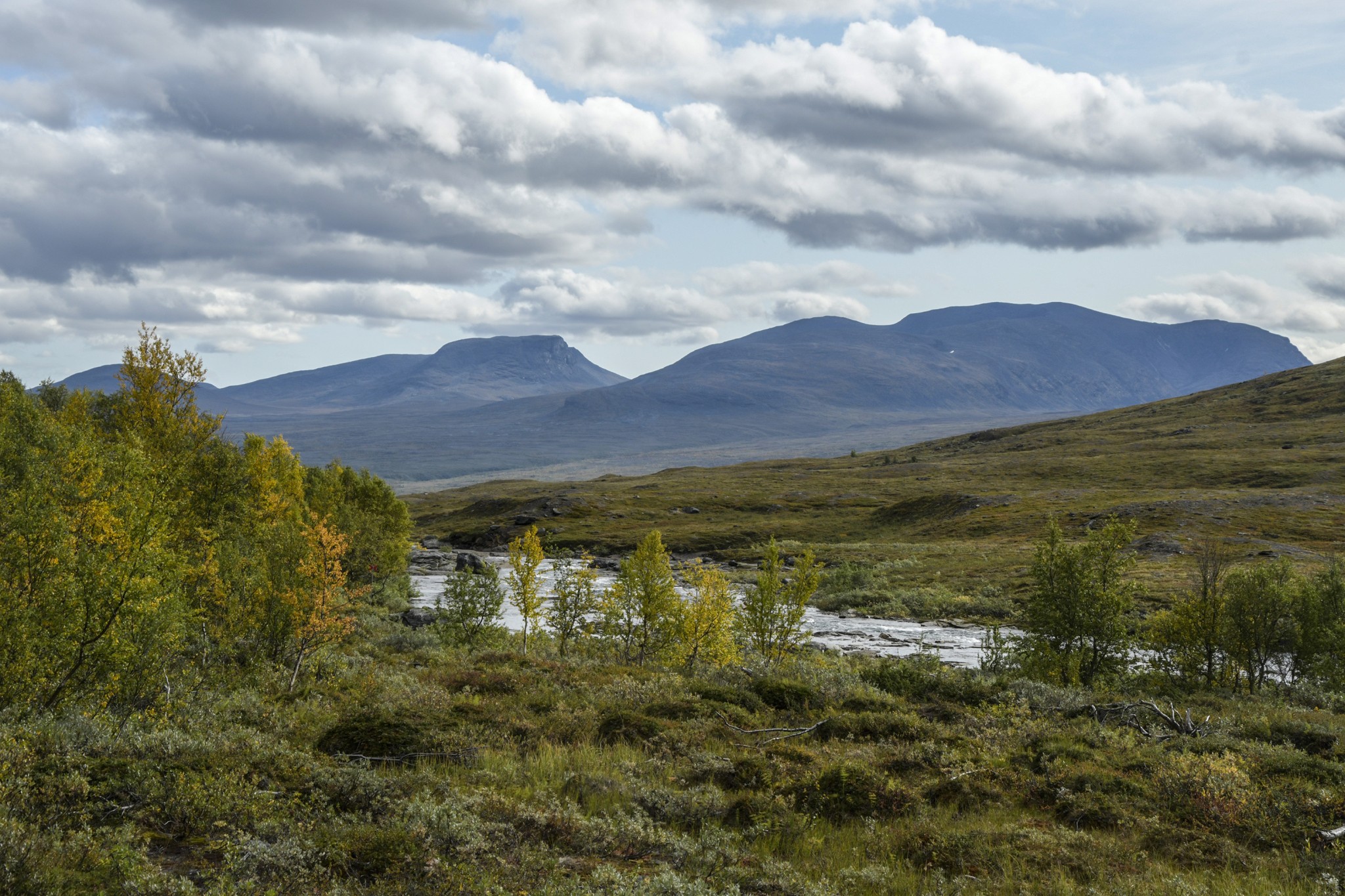 359-Lapland2019_DSC7126_W.jpg