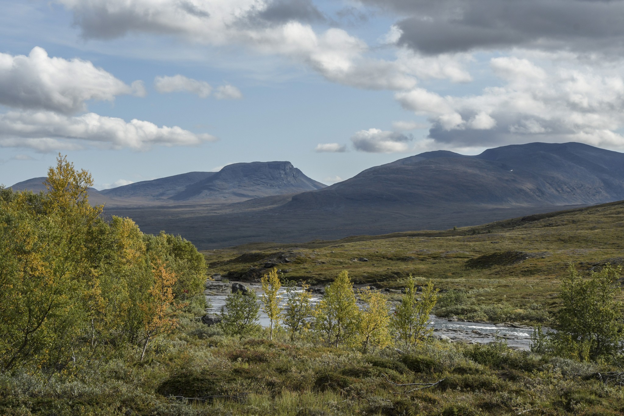 361-Lapland2019_DSC7134_W.jpg