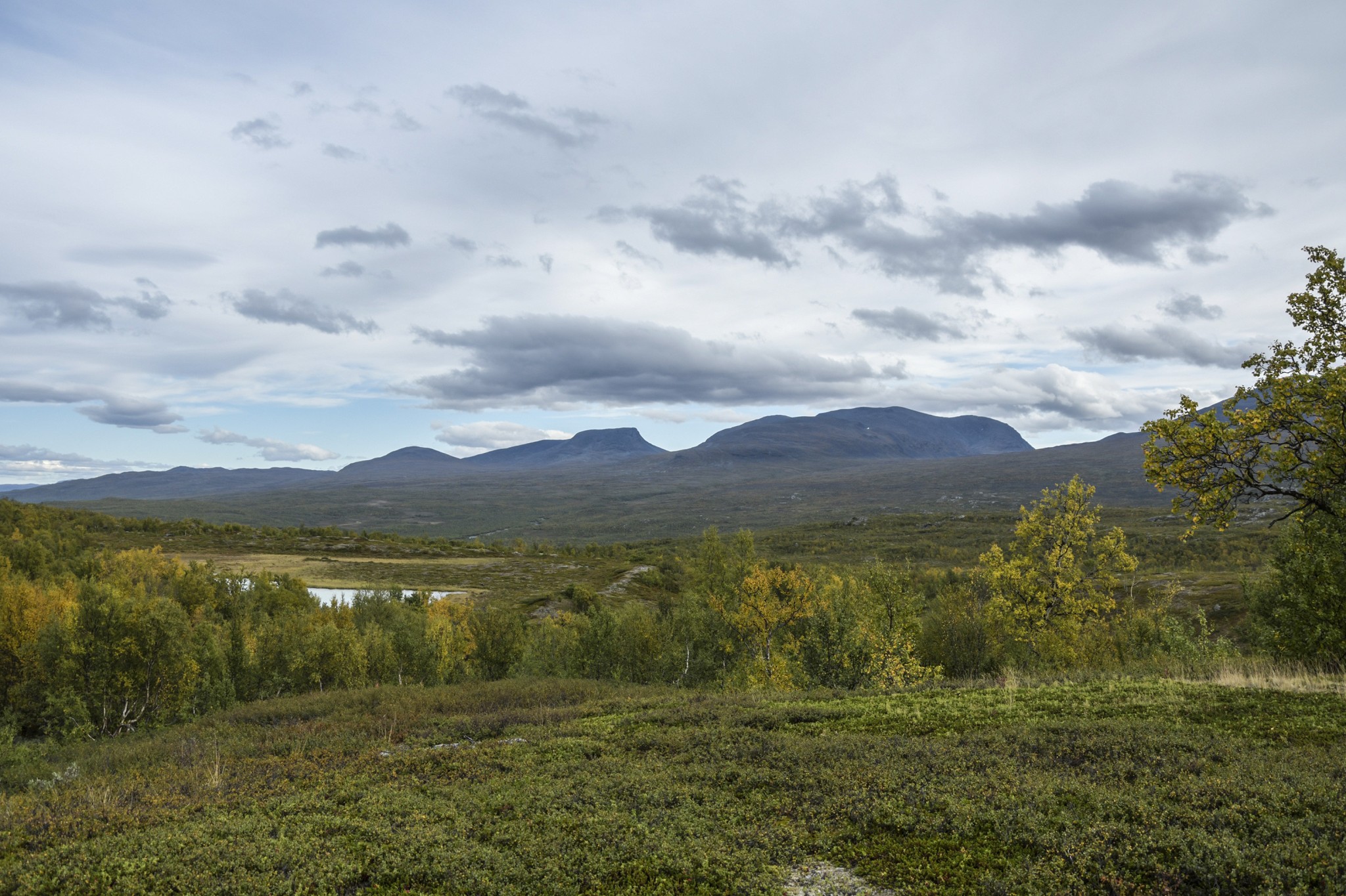 364-Lapland2019_DSC7144_W.jpg