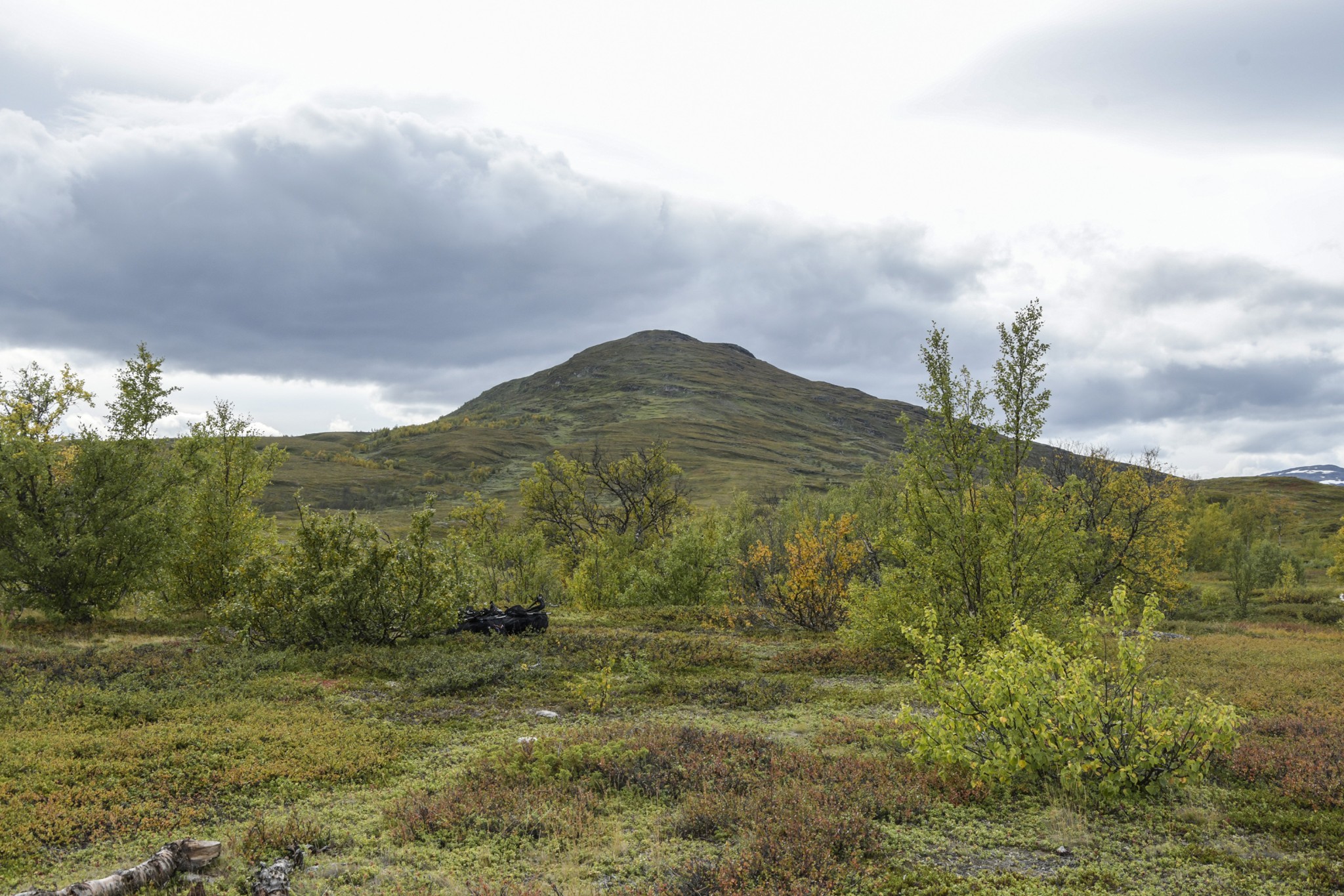 365-Lapland2019_DSC7148_W.jpg