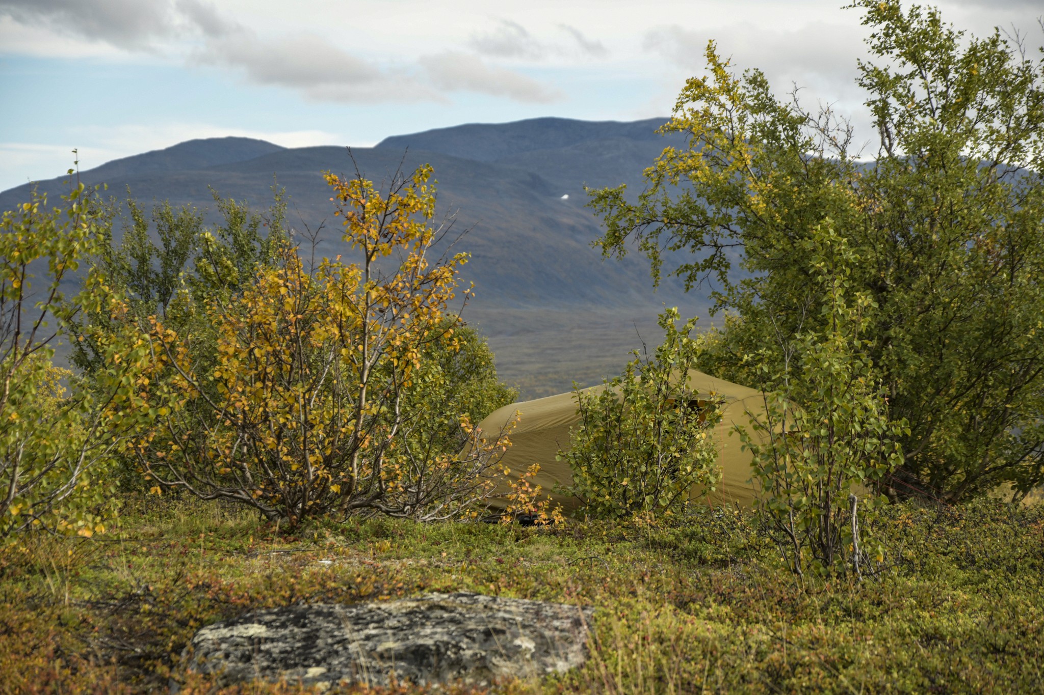 371-Lapland2019_DSC7167_W.jpg