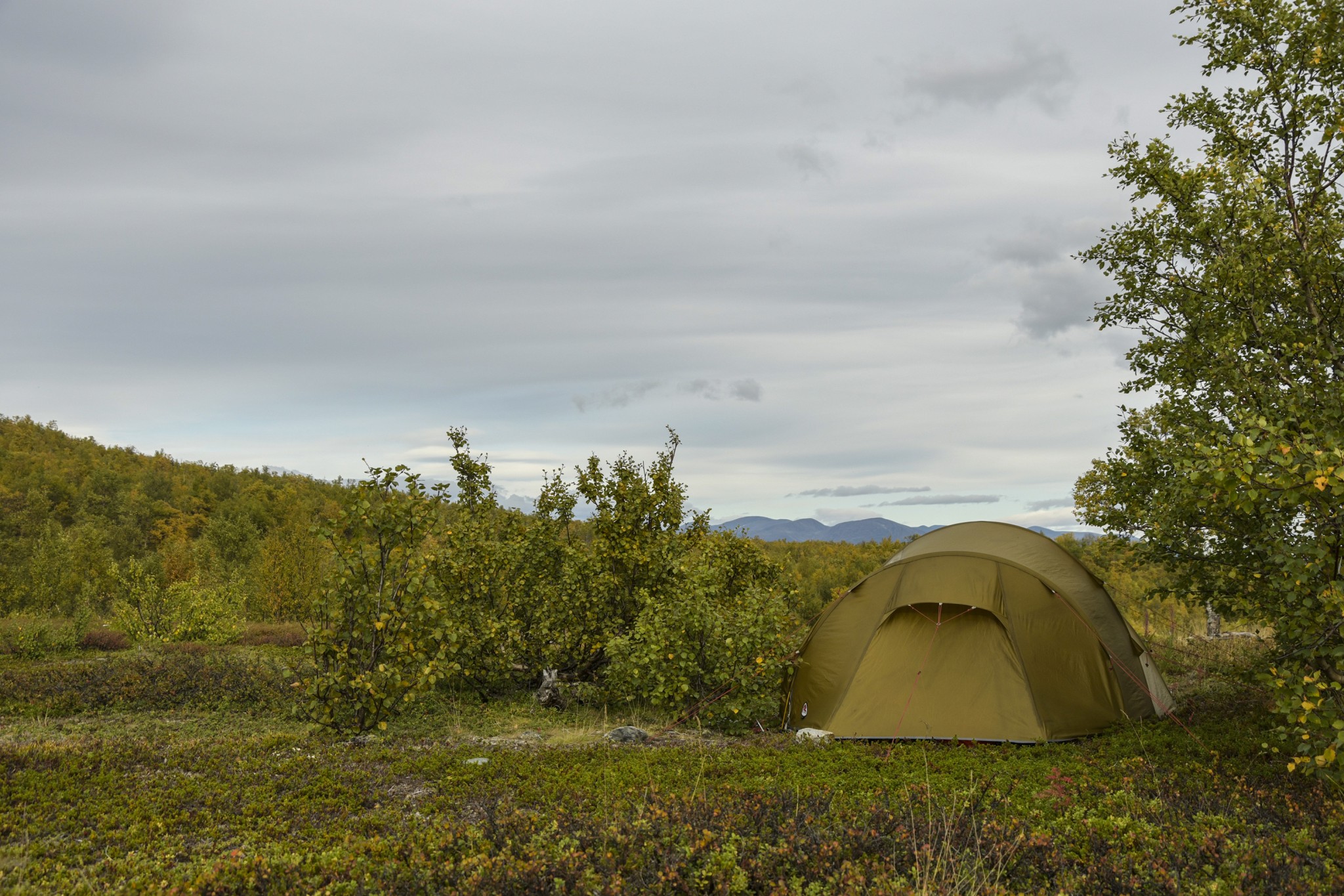 373-Lapland2019_DSC7169_W.jpg