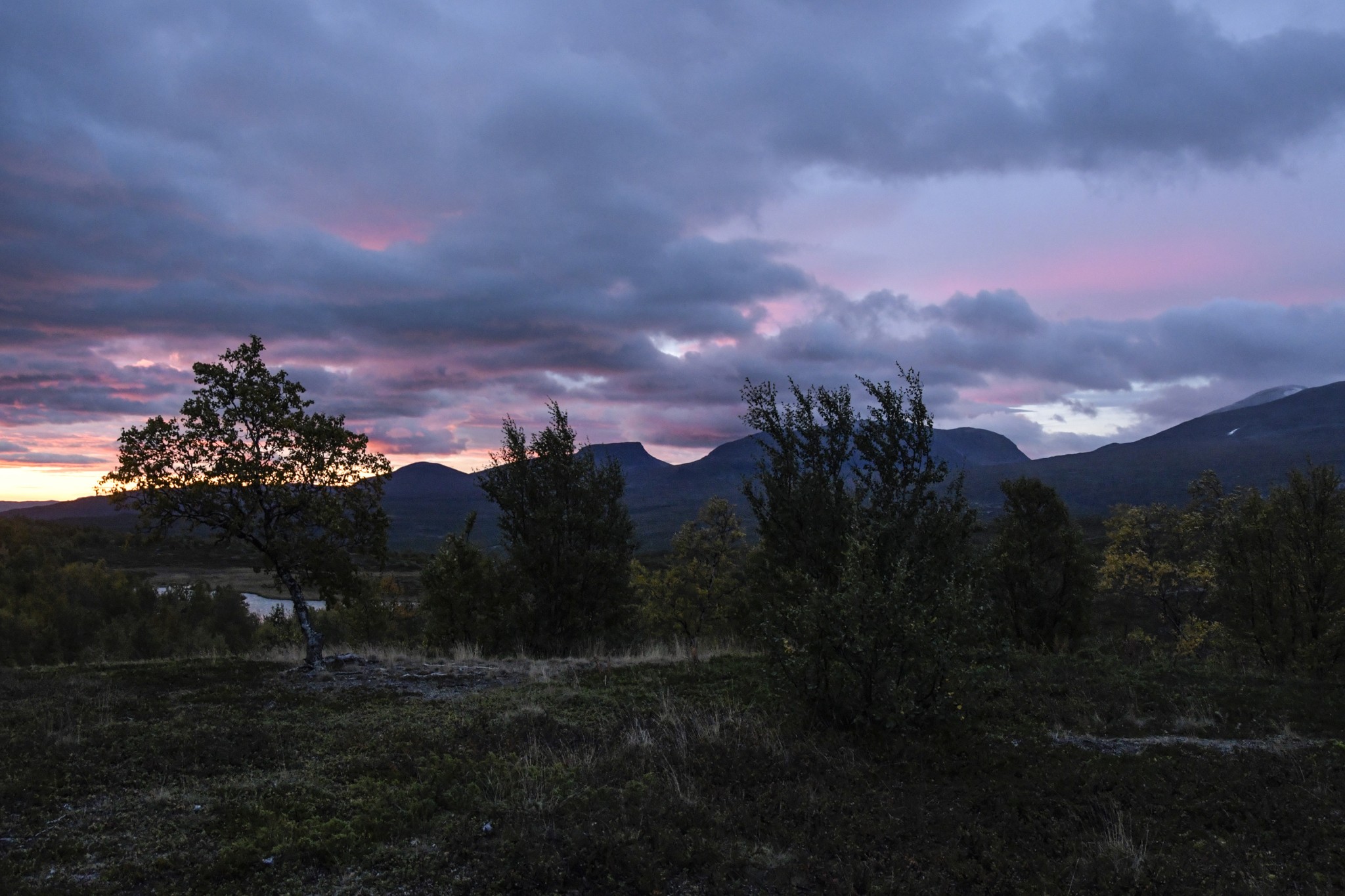 375-Lapland2019_DSC7173_W.jpg