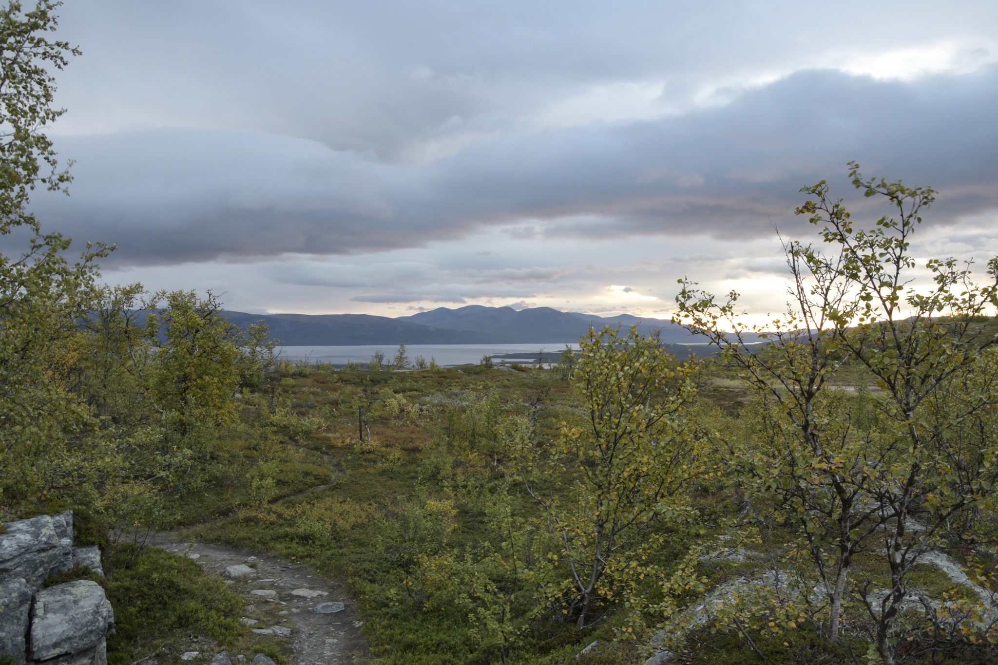 377-Lapland2019_DSC7179_W.jpg