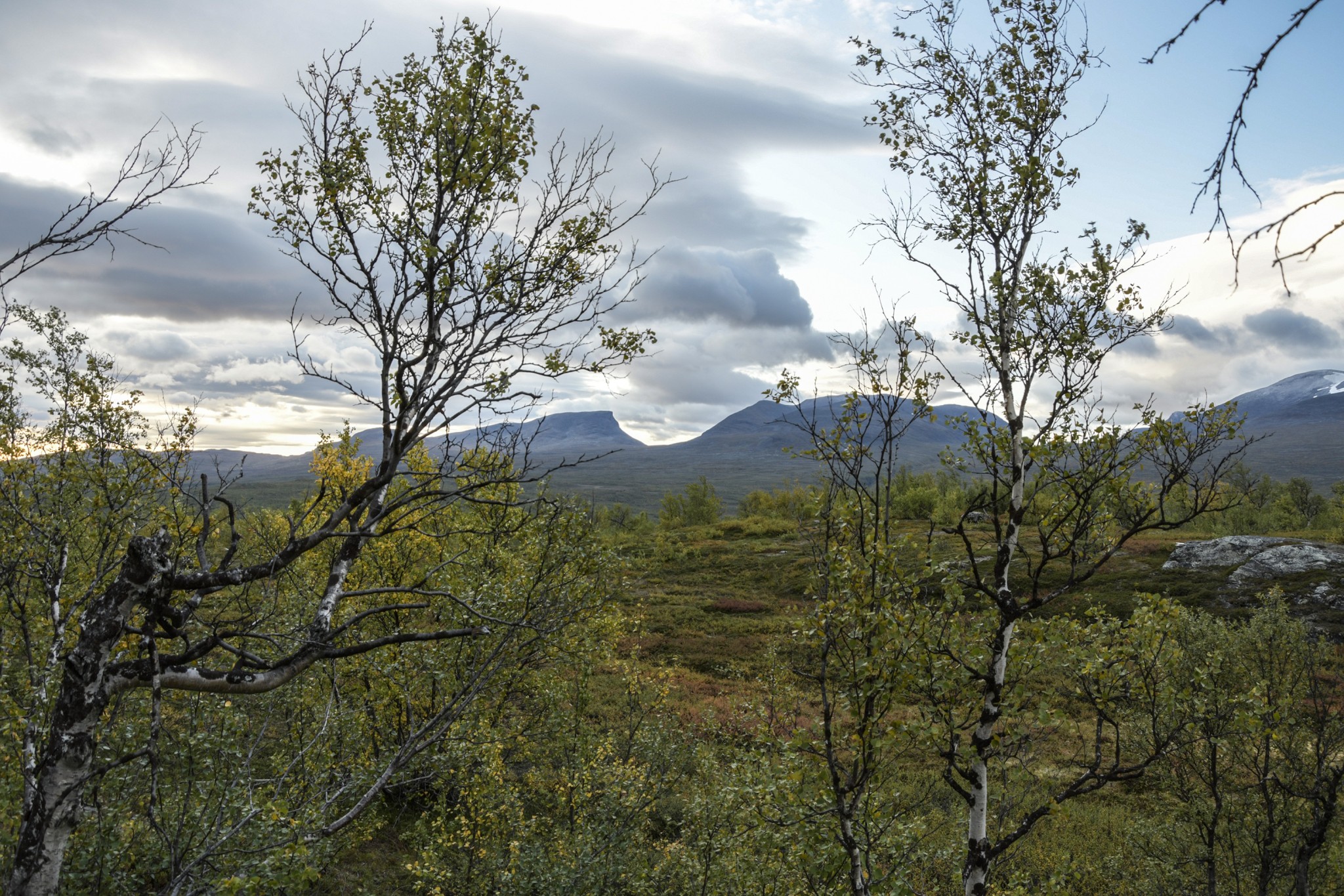 378-Lapland2019_DSC7181_W.jpg