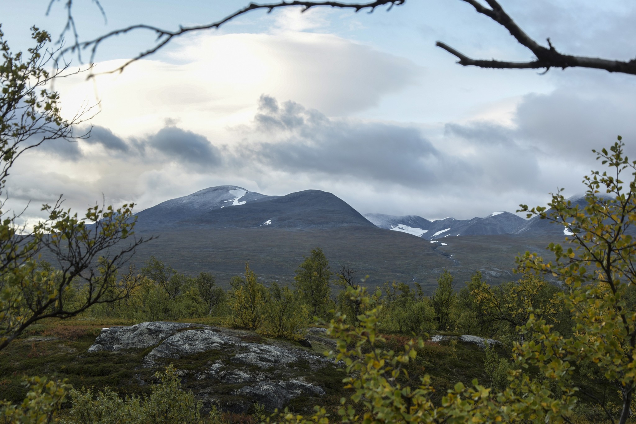 379-Lapland2019_DSC7183_W.jpg