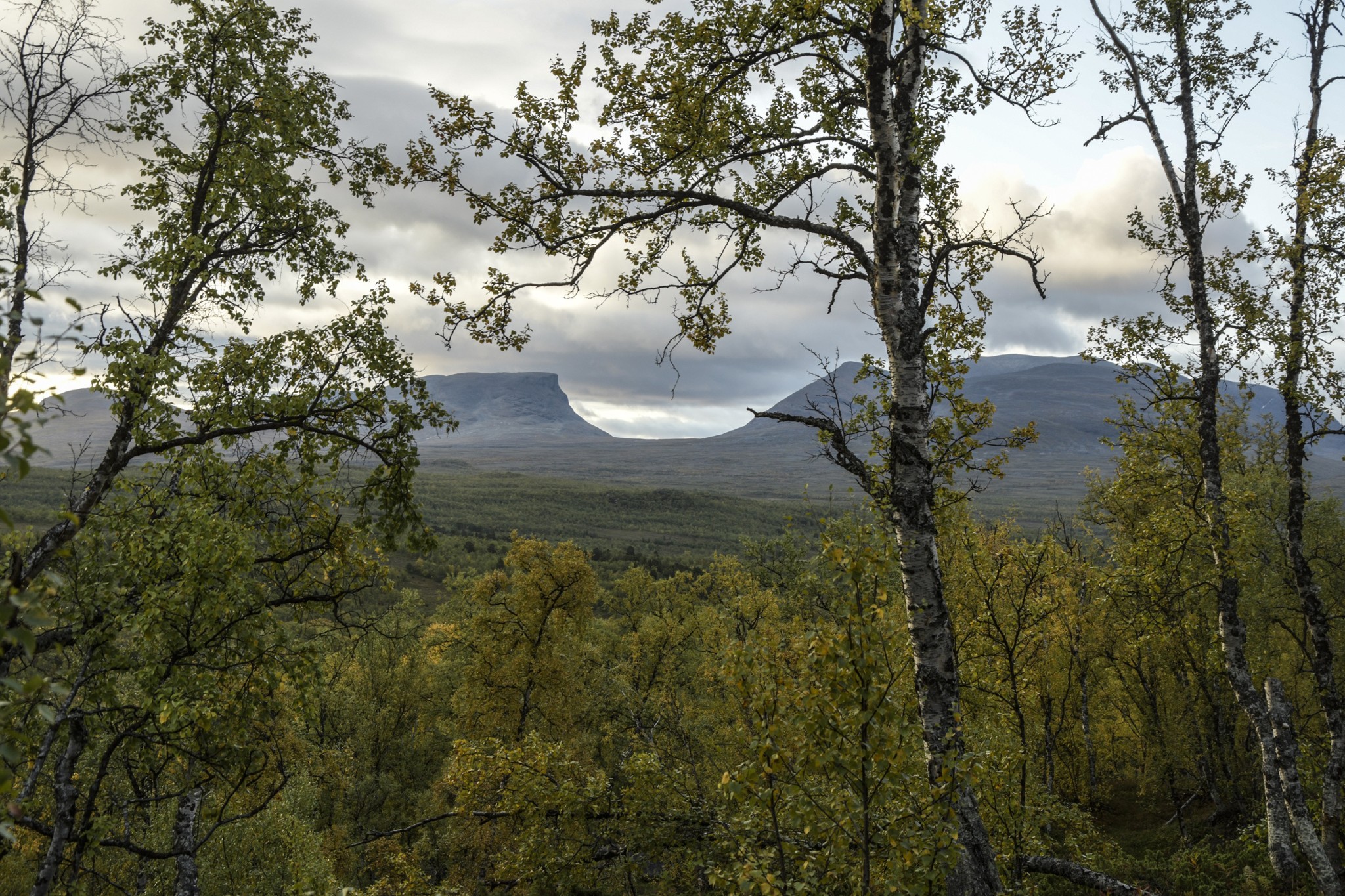 380-Lapland2019_DSC7188_W.jpg