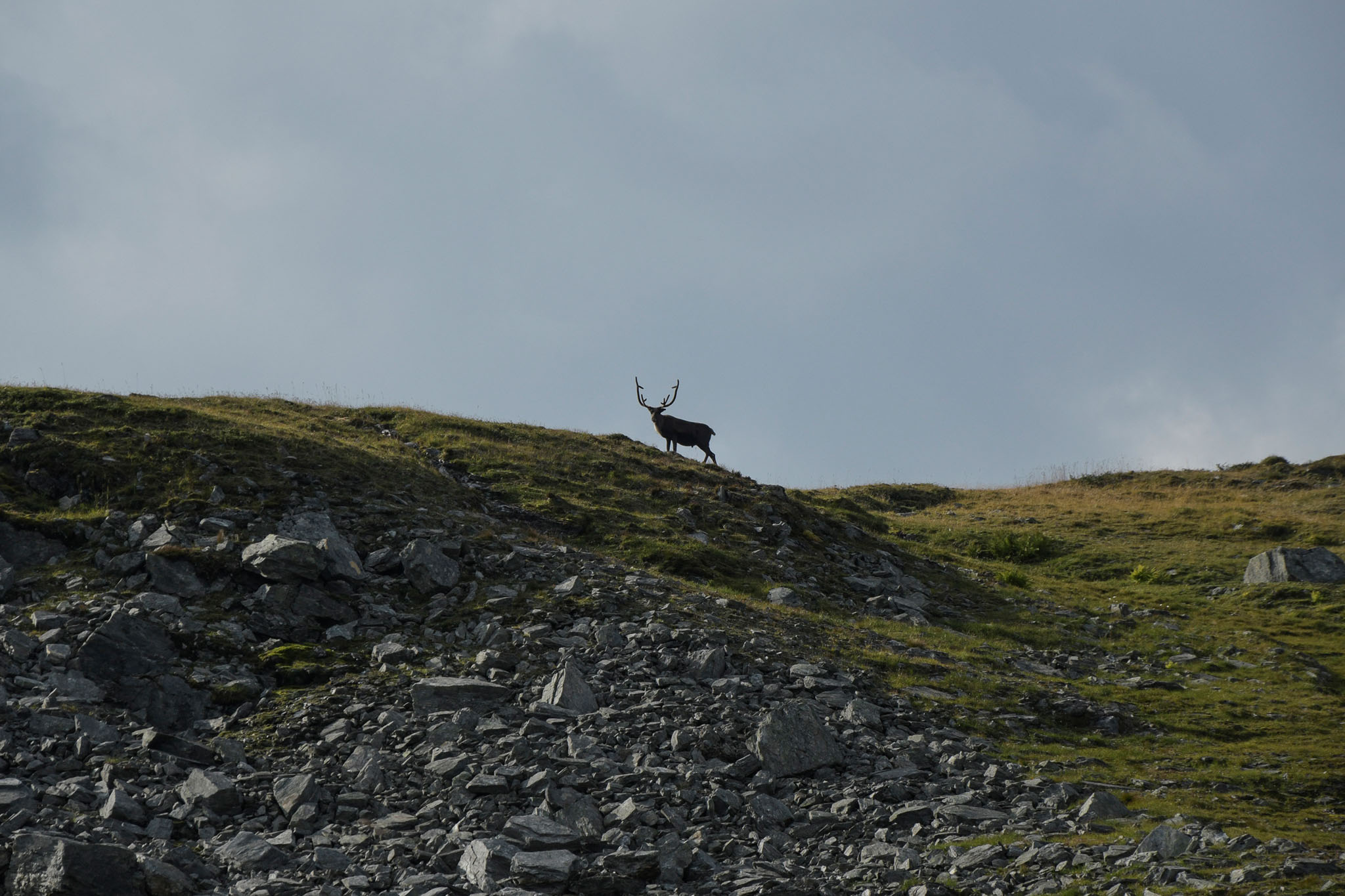 47-Lapland2019_DSC6453_W.jpg