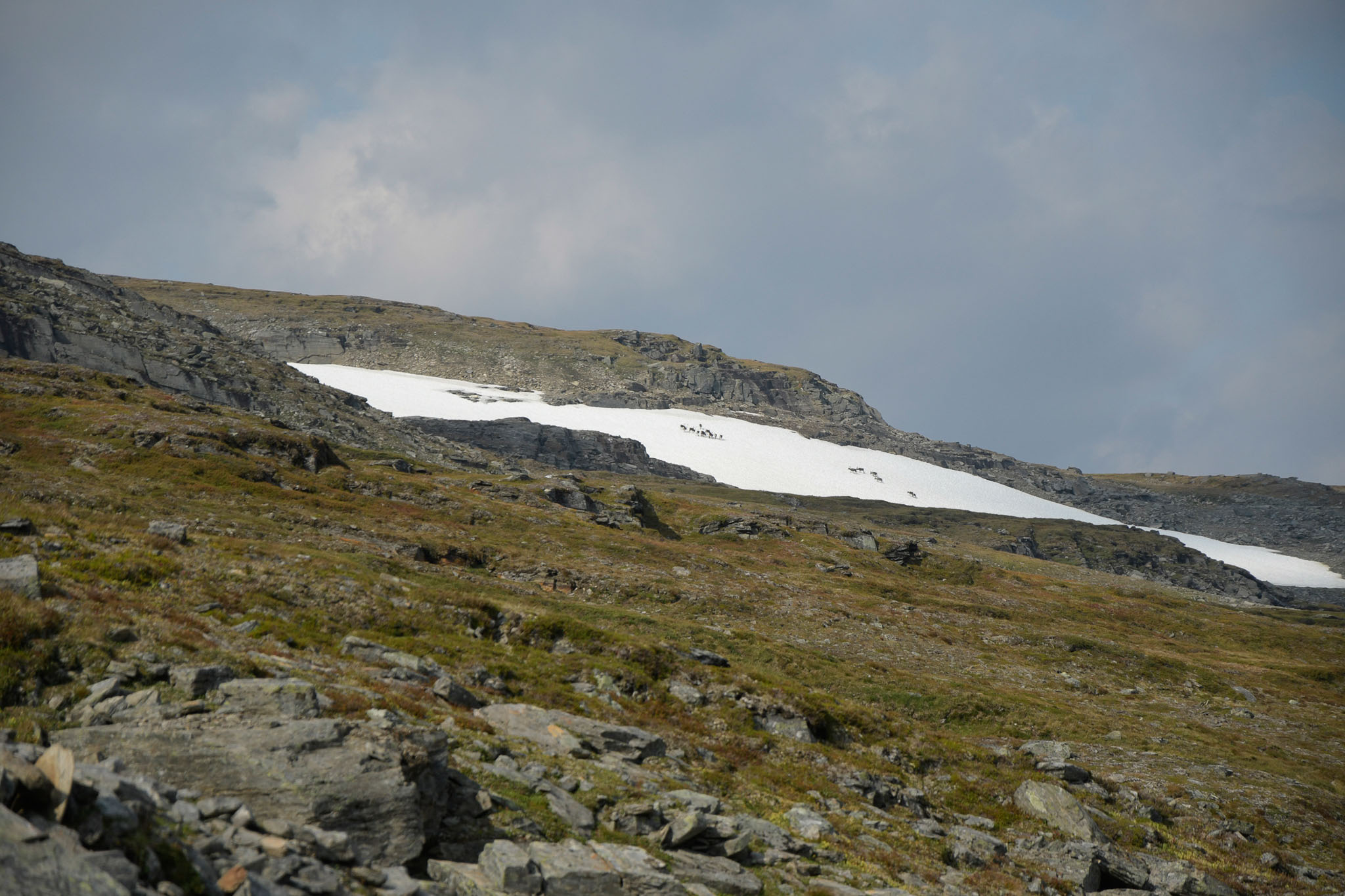 48-Lapland2019_DSC6456_W.jpg