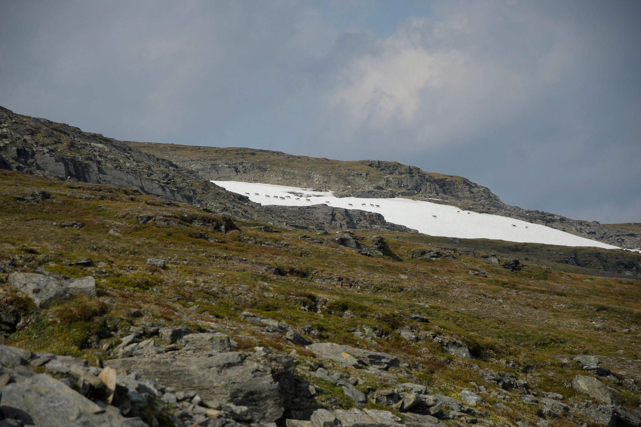 49-Lapland2019_DSC6459_W_A.jpg