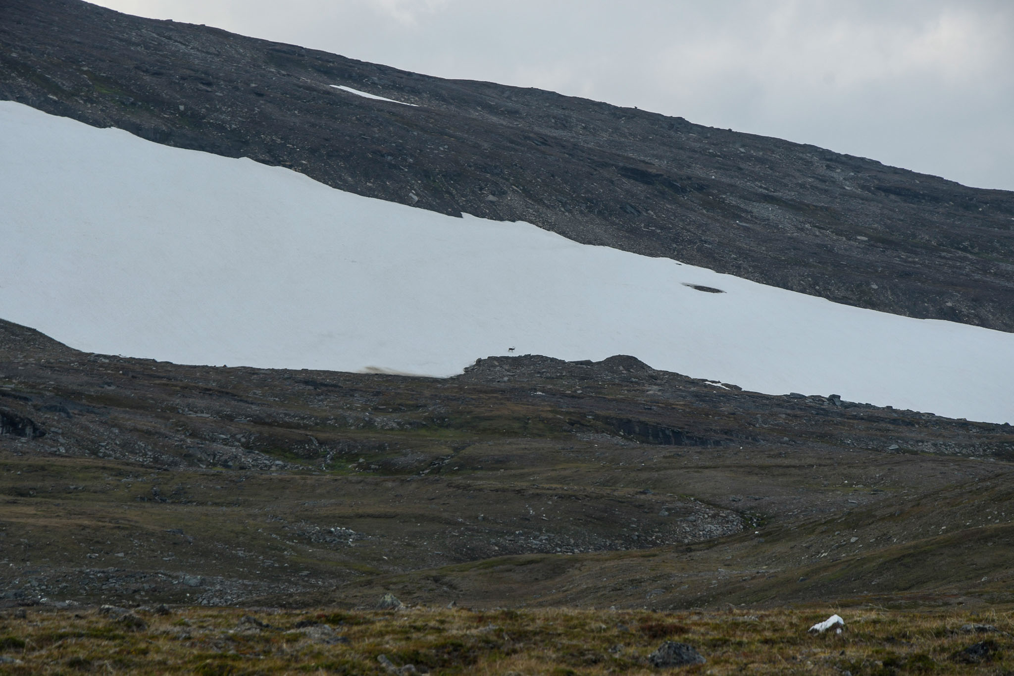 57-Lapland2019_DSC6473_W.jpg