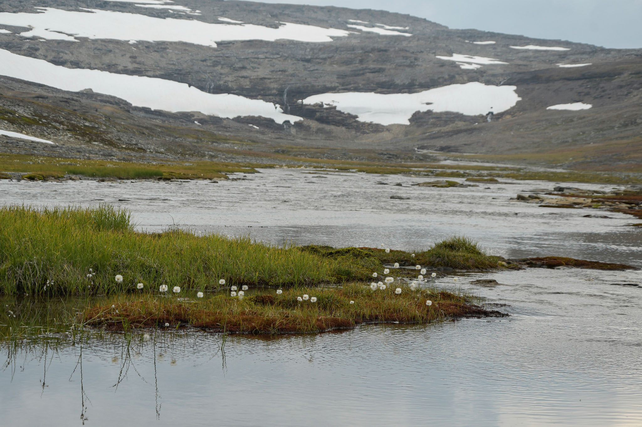 65-Lapland2019_DSC6500_W.jpg