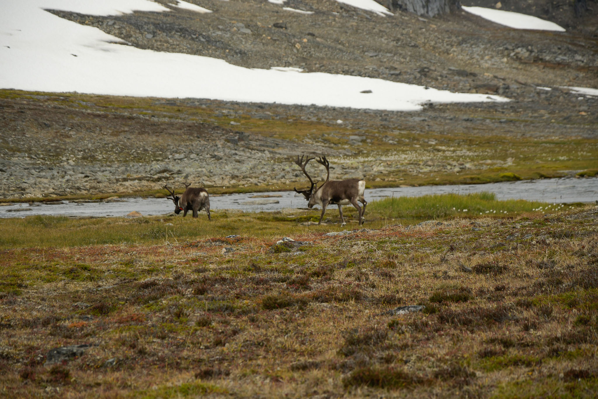 79-Lapland2019_DSC6542_W.jpg