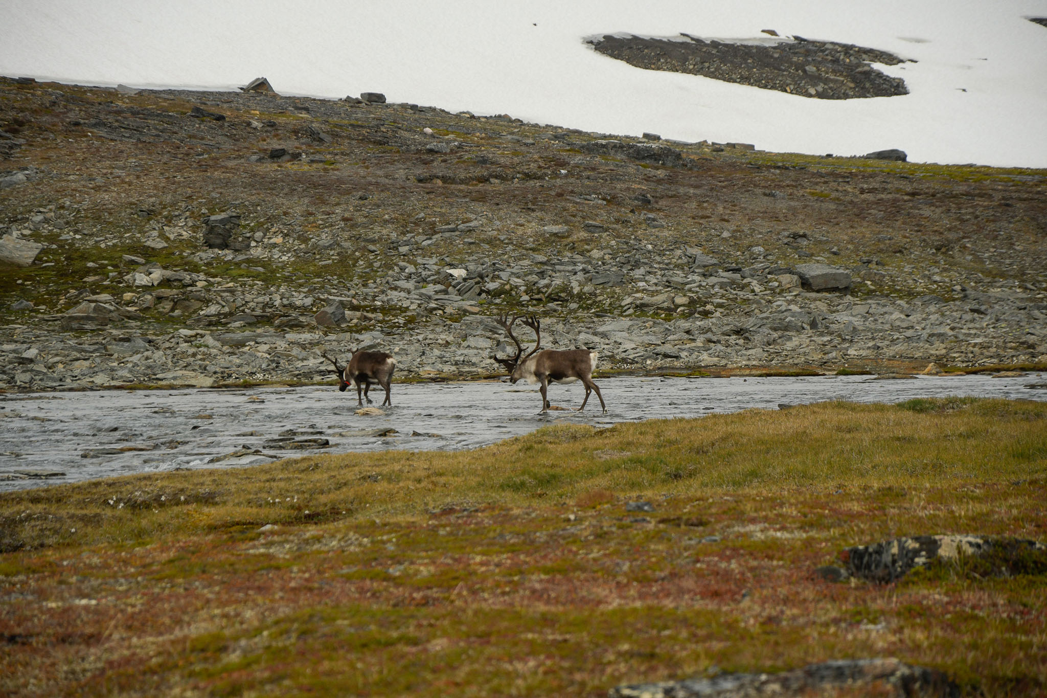 80-Lapland2019_DSC6544_W.jpg