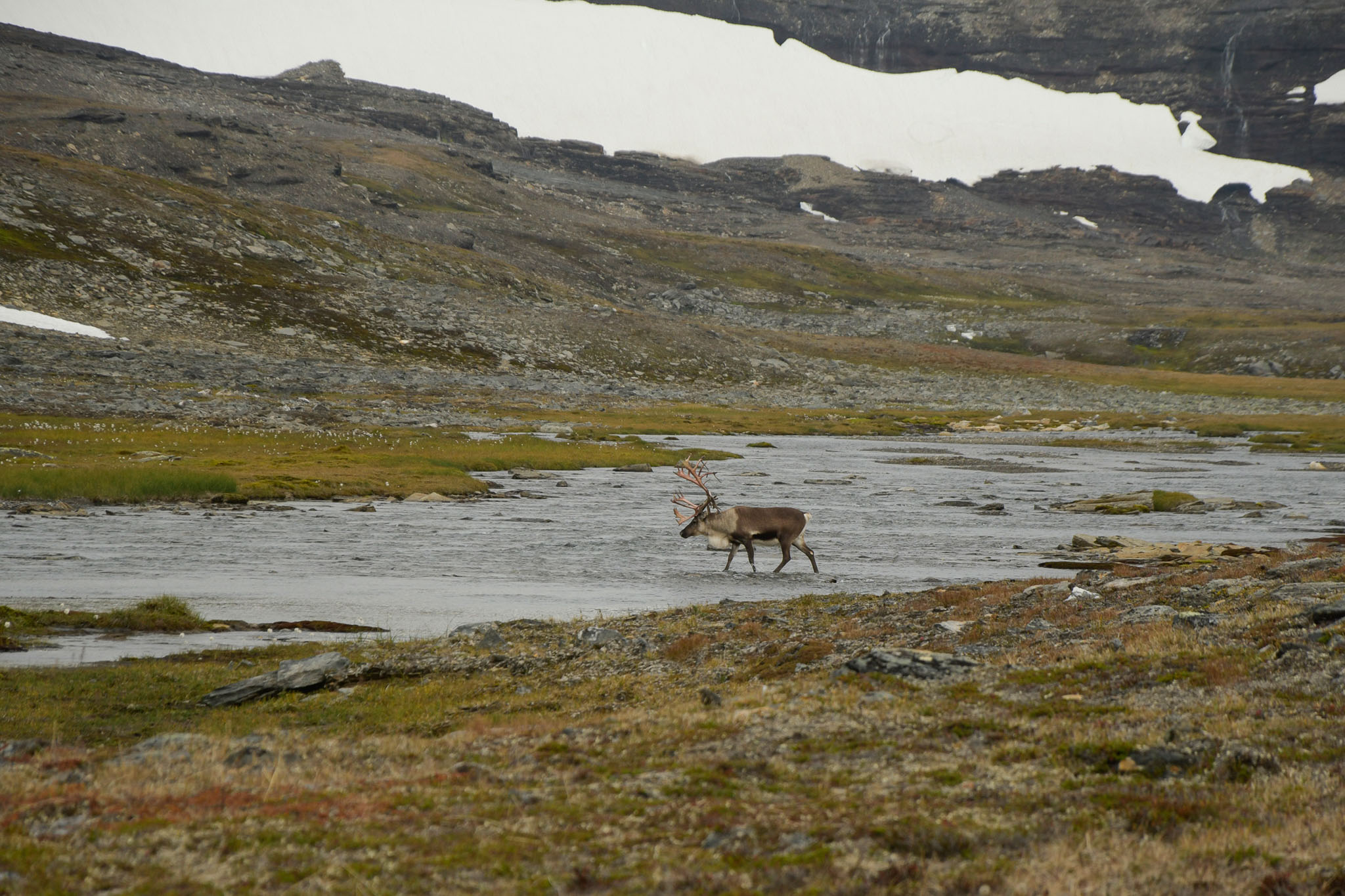 81-Lapland2019_DSC6546_W.jpg