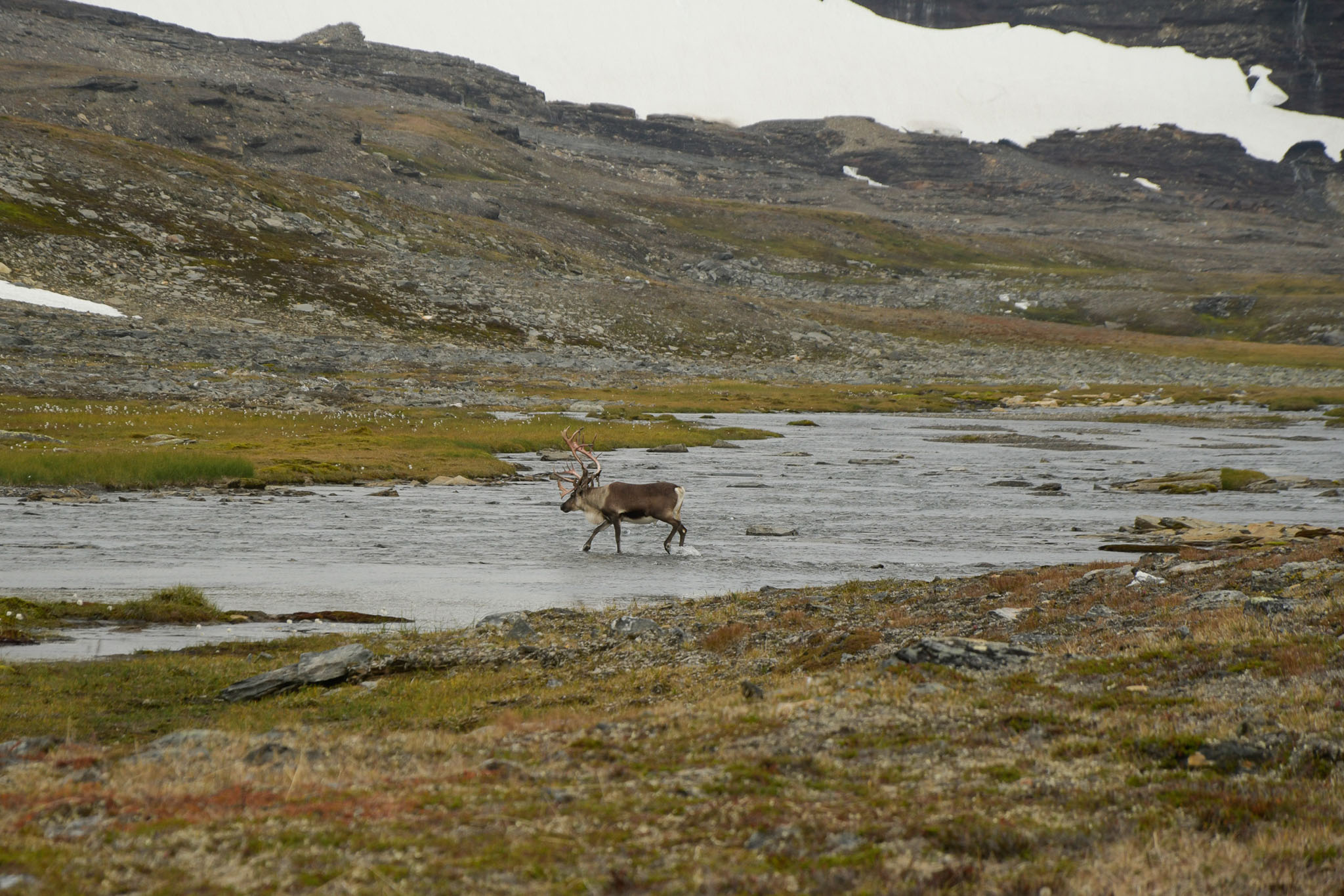 82-Lapland2019_DSC6547_W.jpg