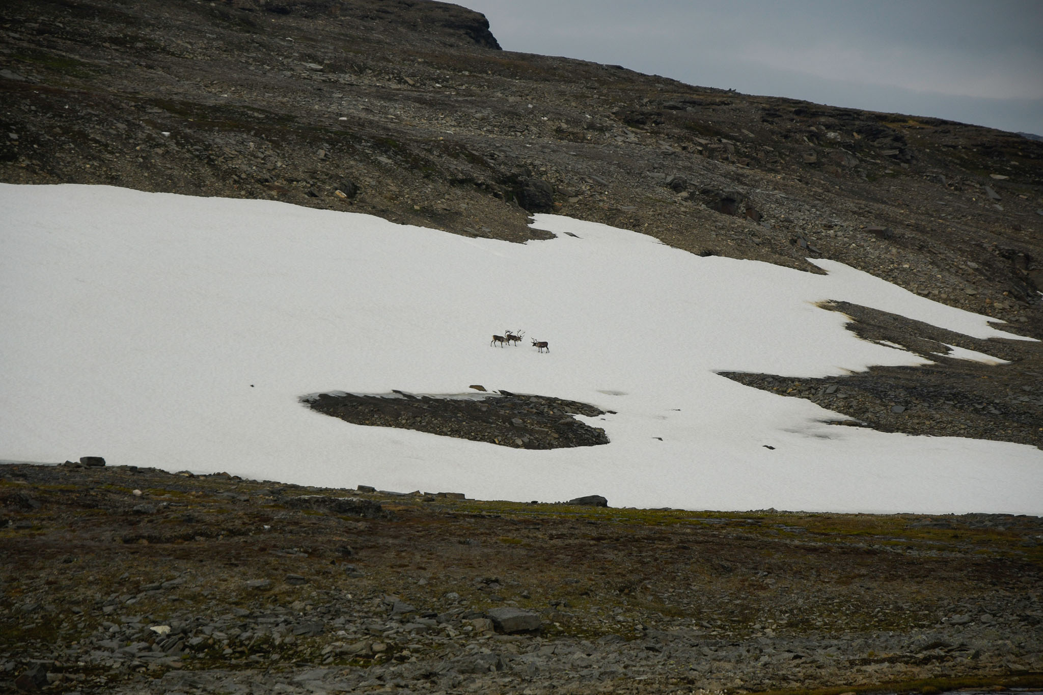 84-Lapland2019_DSC6556_W.jpg