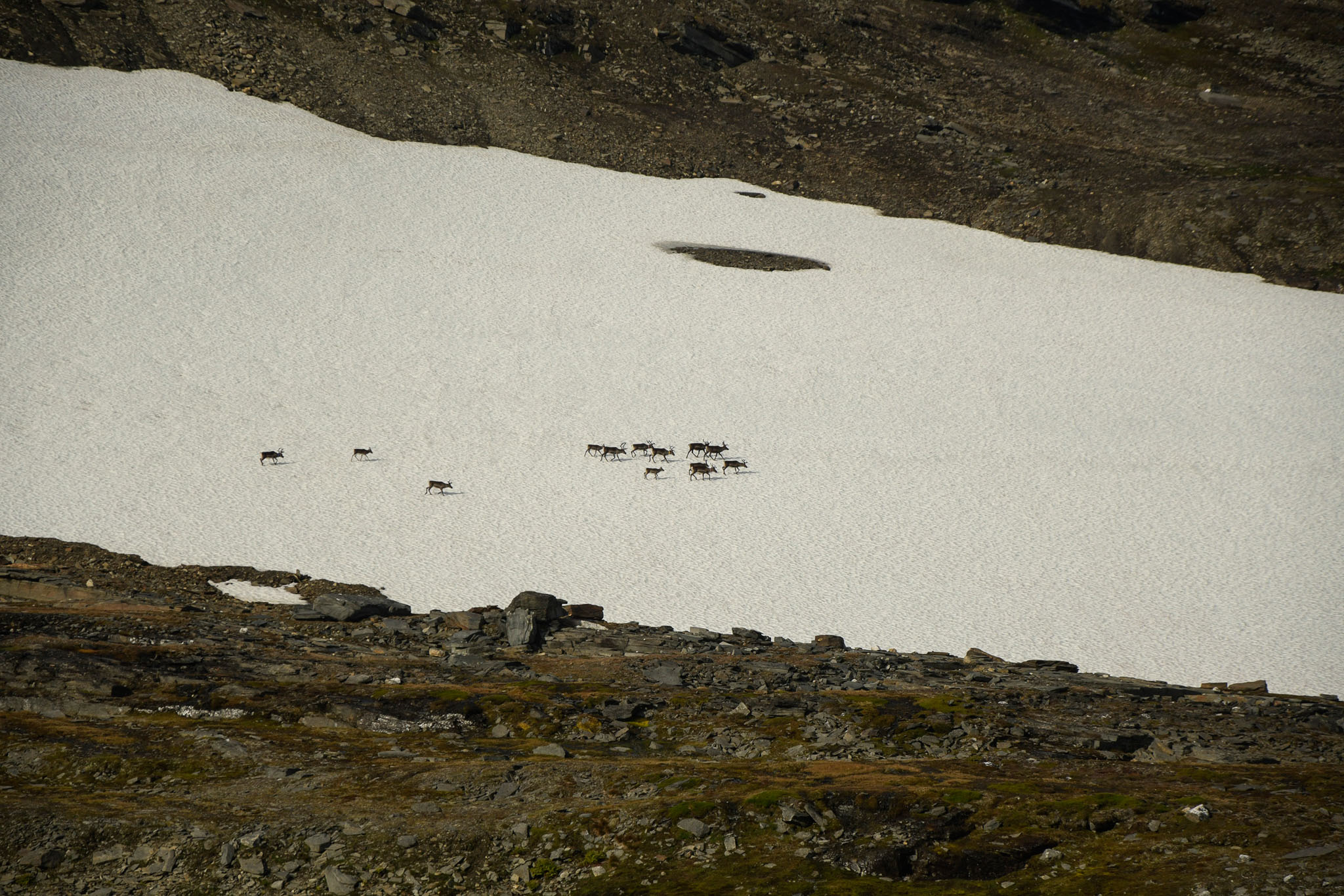 85-Lapland2019_DSC6559_W.jpg