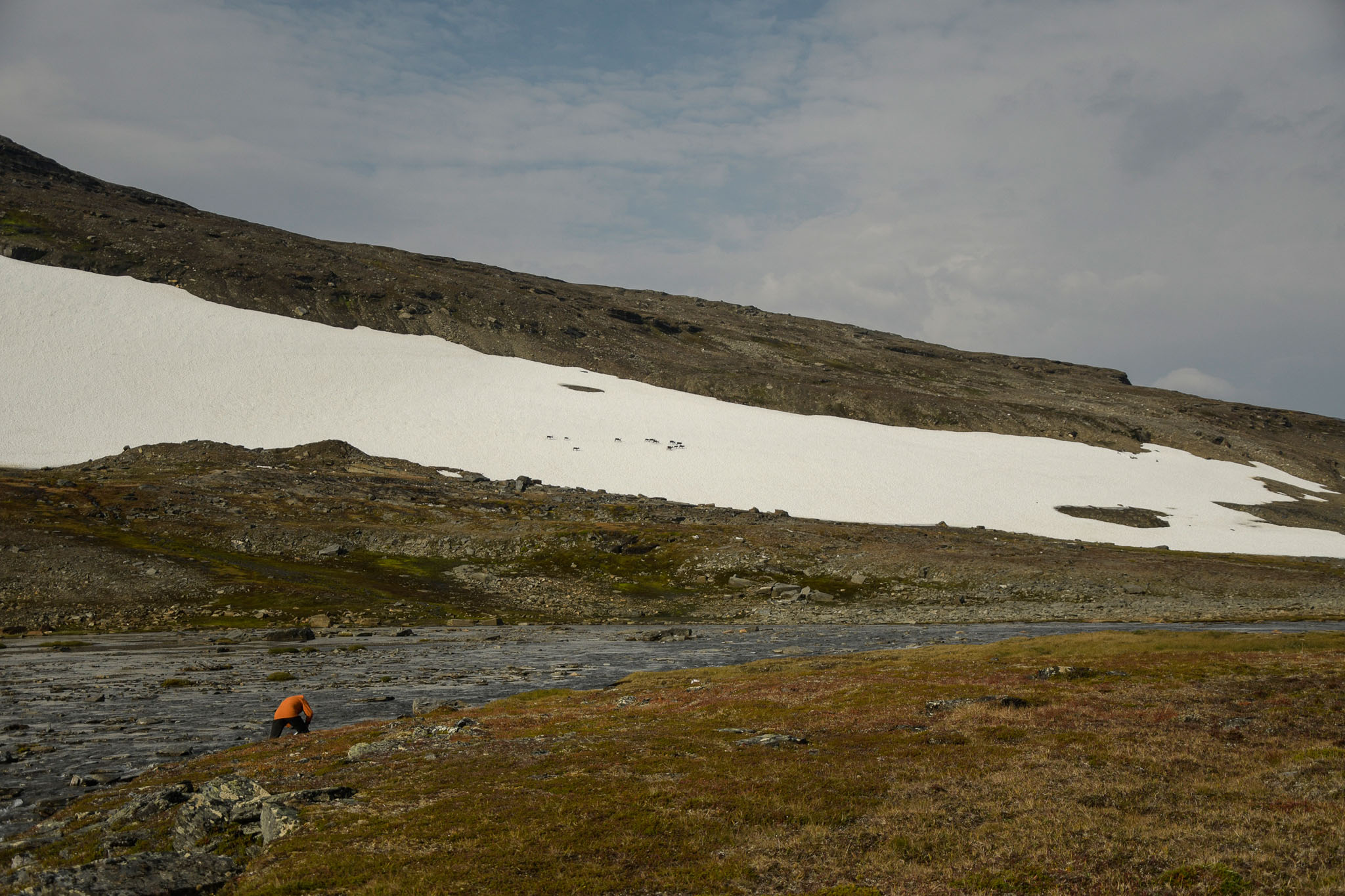 86-Lapland2019_DSC6560_W.jpg