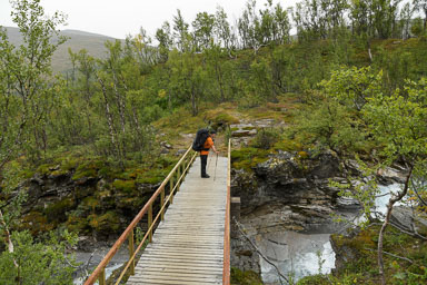 18-Lapland2019_DSC6385_W.jpg