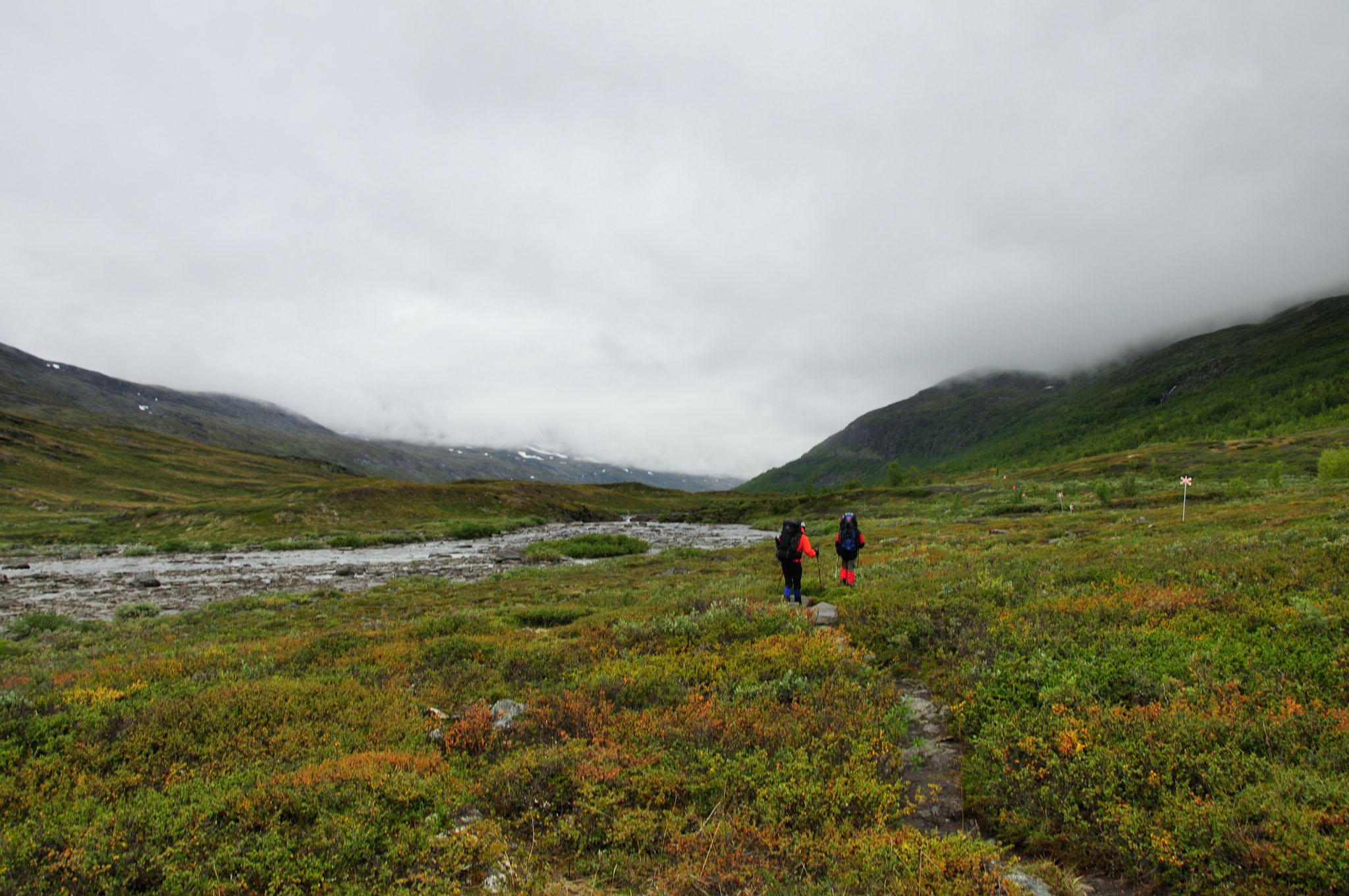 Abisko2015A101_01.jpg