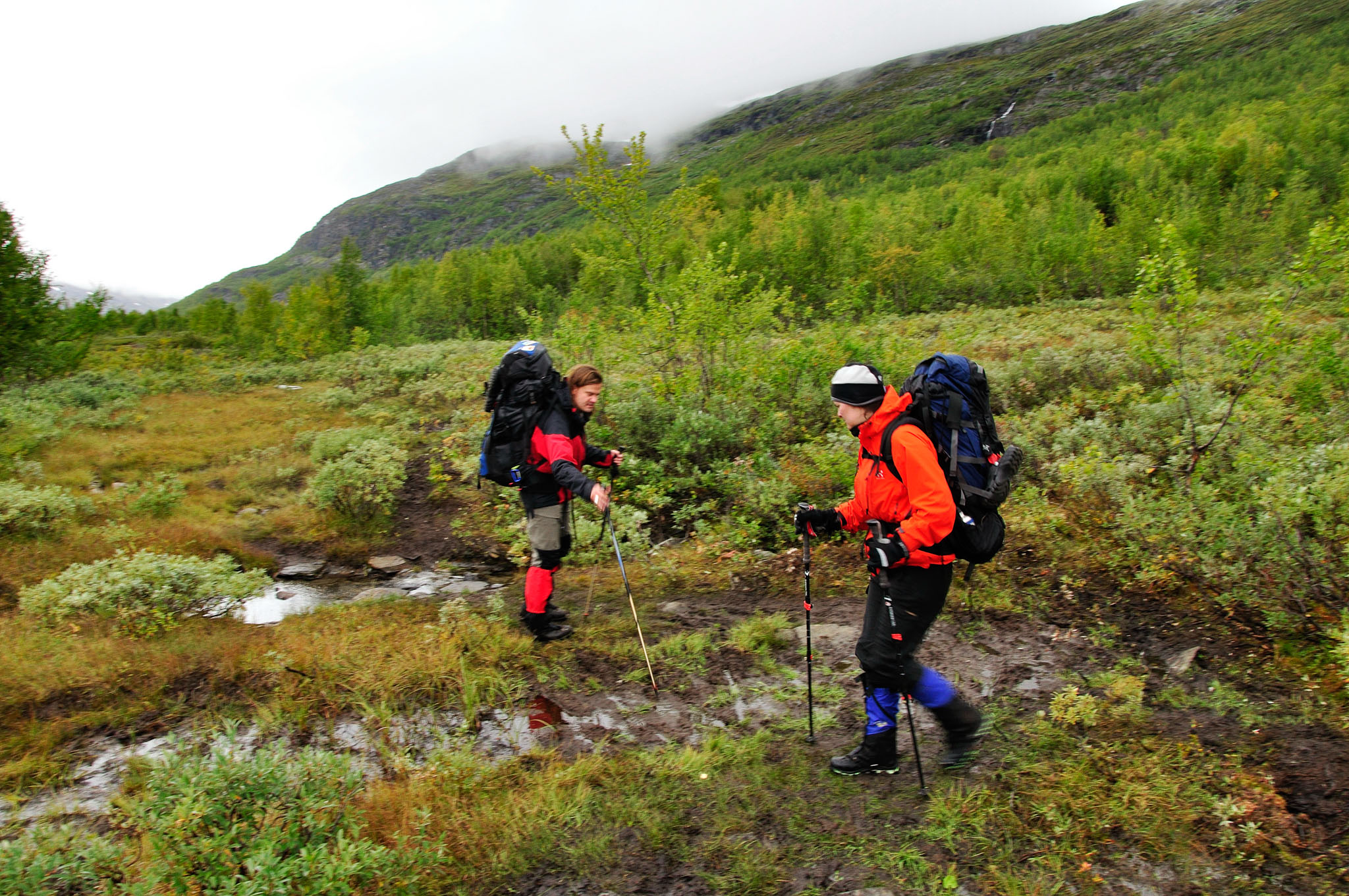 Abisko2015A106_01.jpg